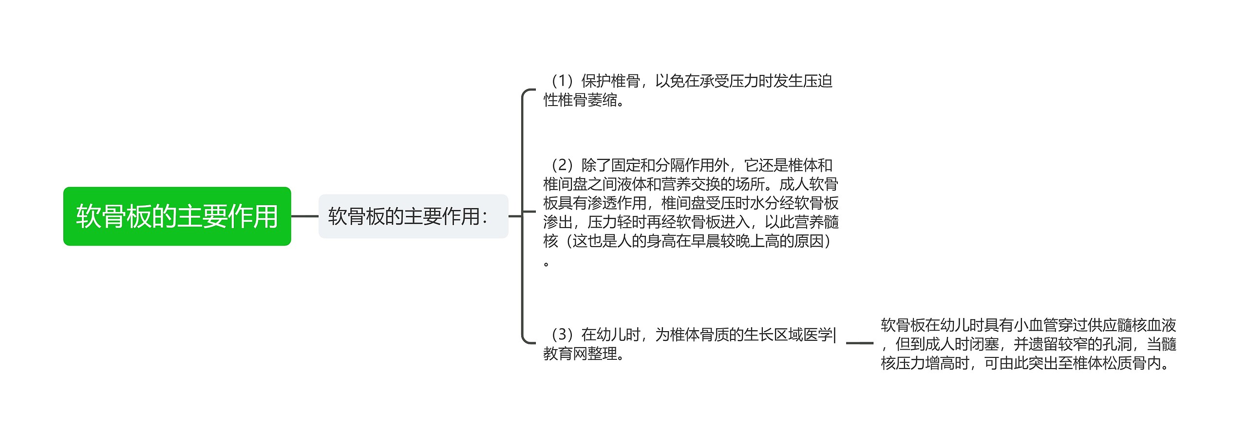 软骨板的主要作用思维导图