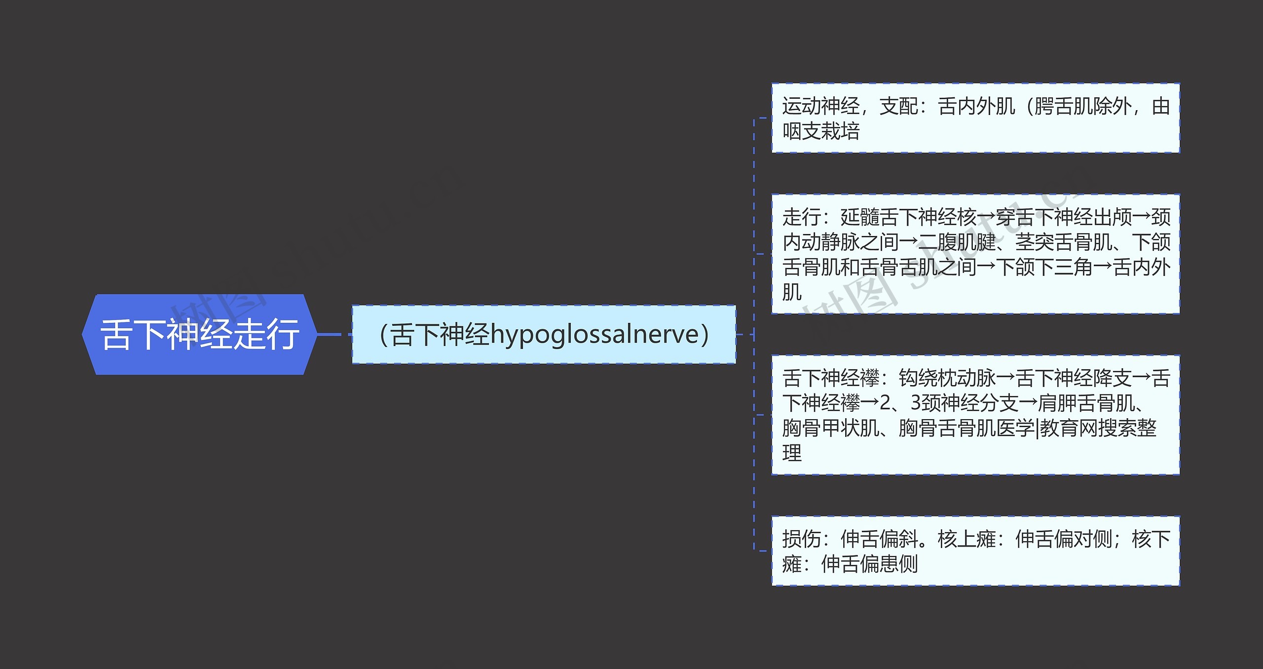 舌下神经走行思维导图