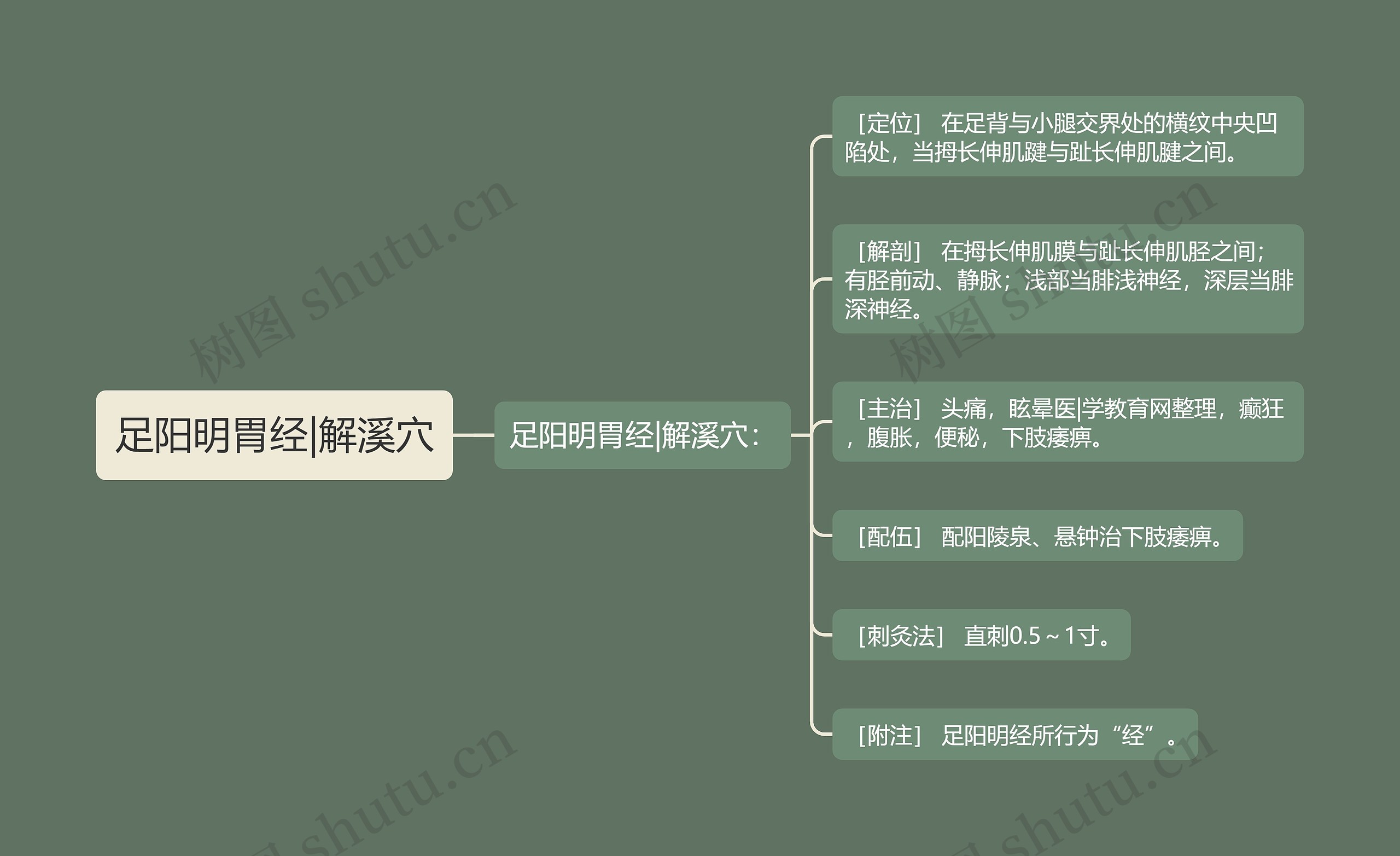 足阳明胃经|解溪穴思维导图