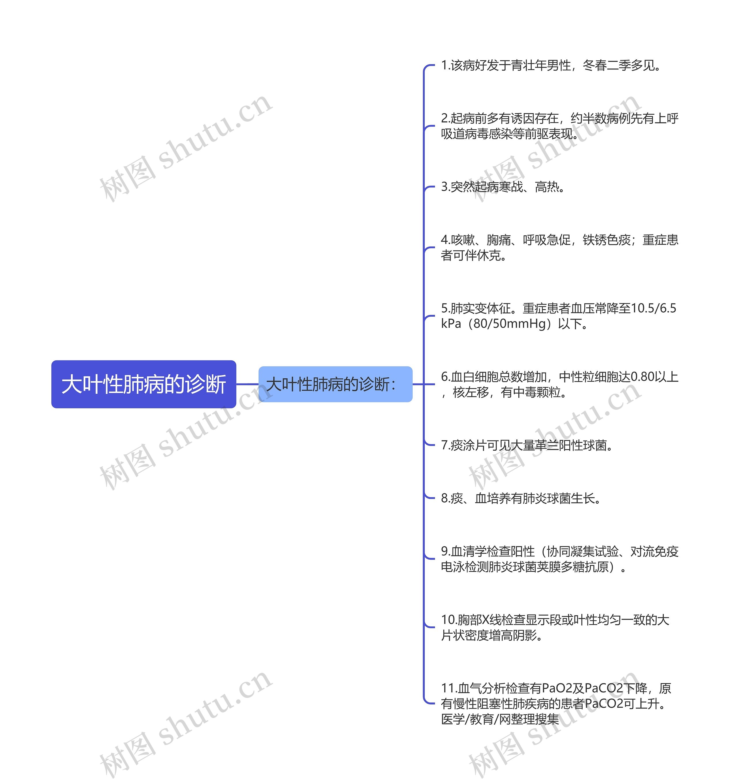 大叶性肺病的诊断思维导图