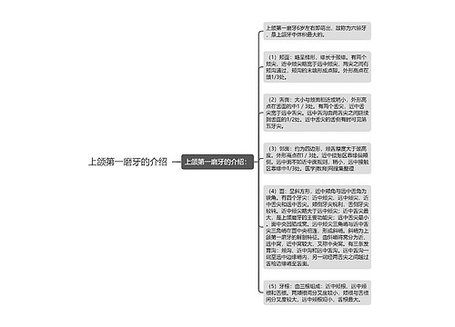 上颌第一磨牙的介绍