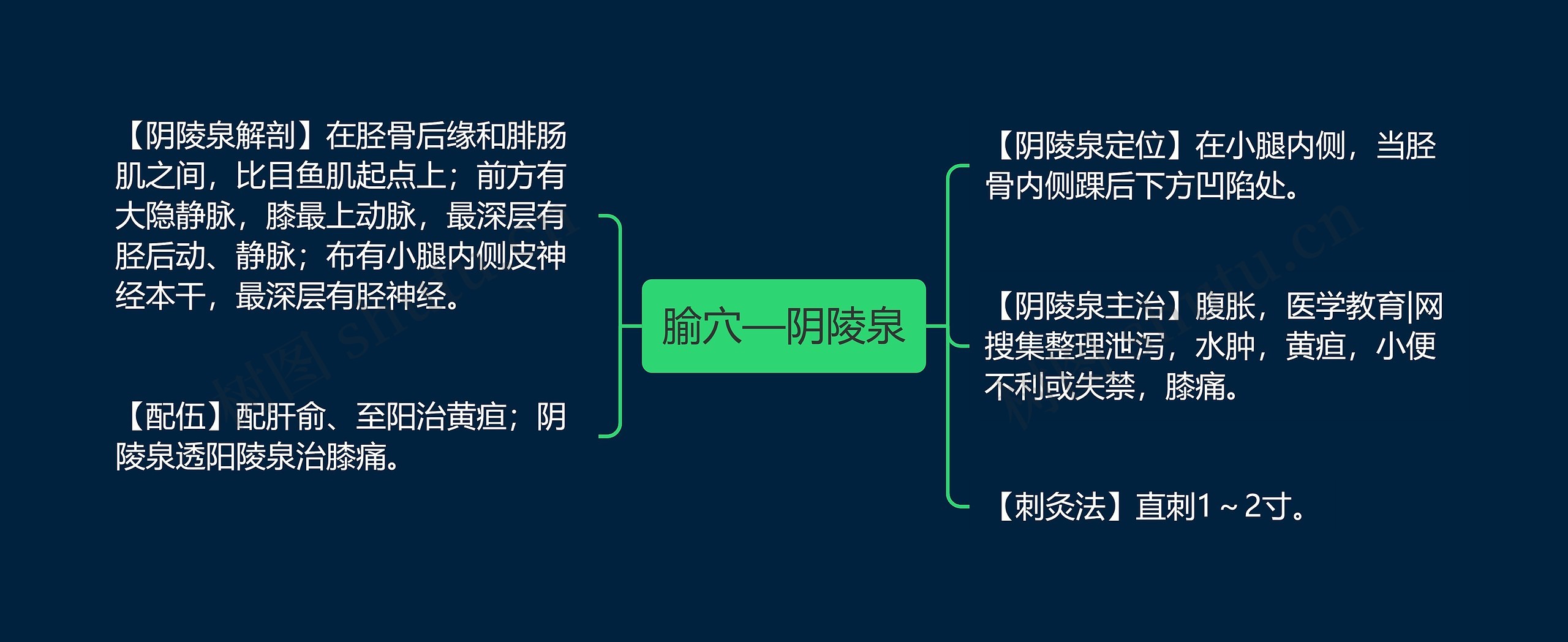 腧穴—阴陵泉思维导图