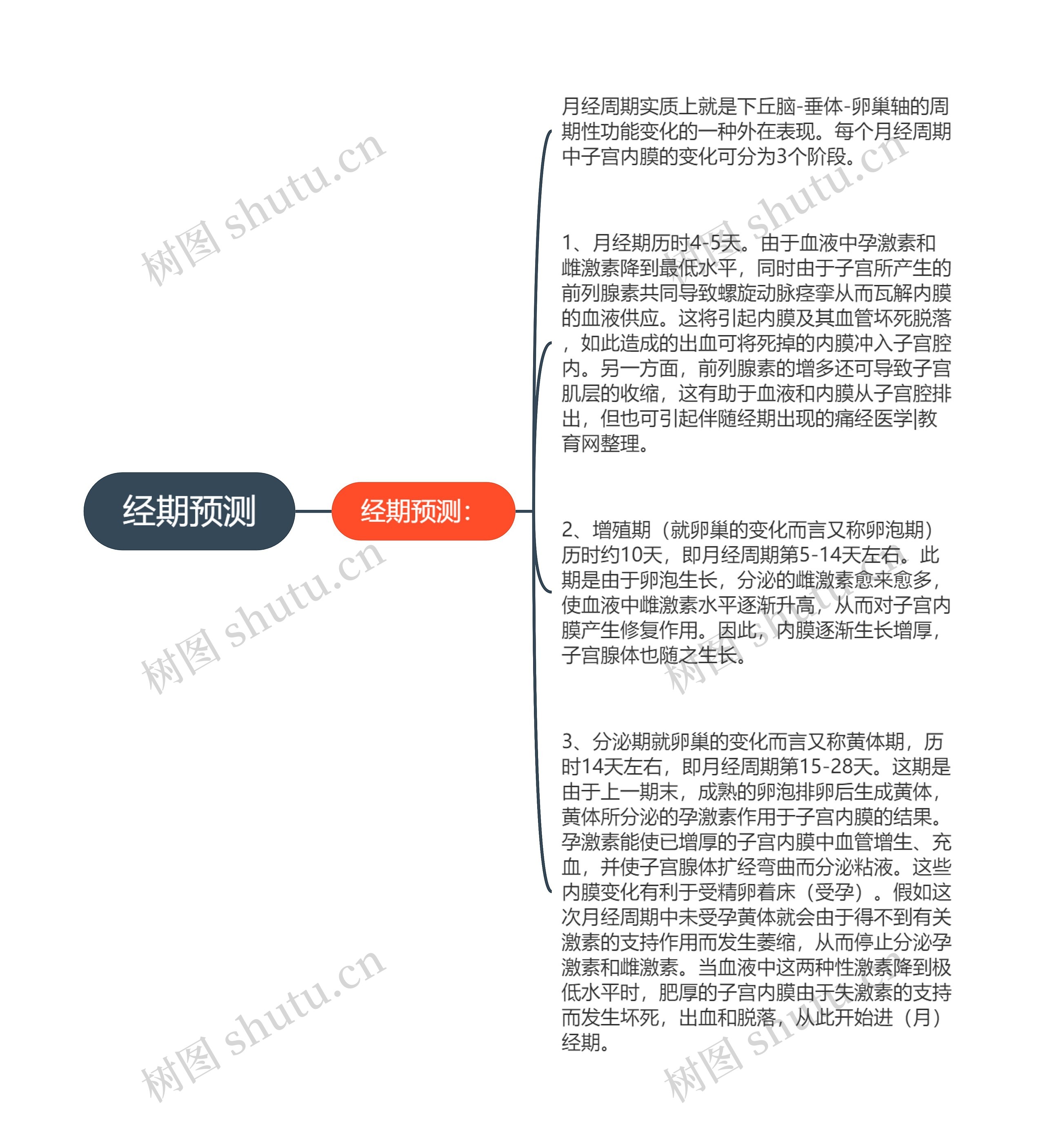 经期预测思维导图