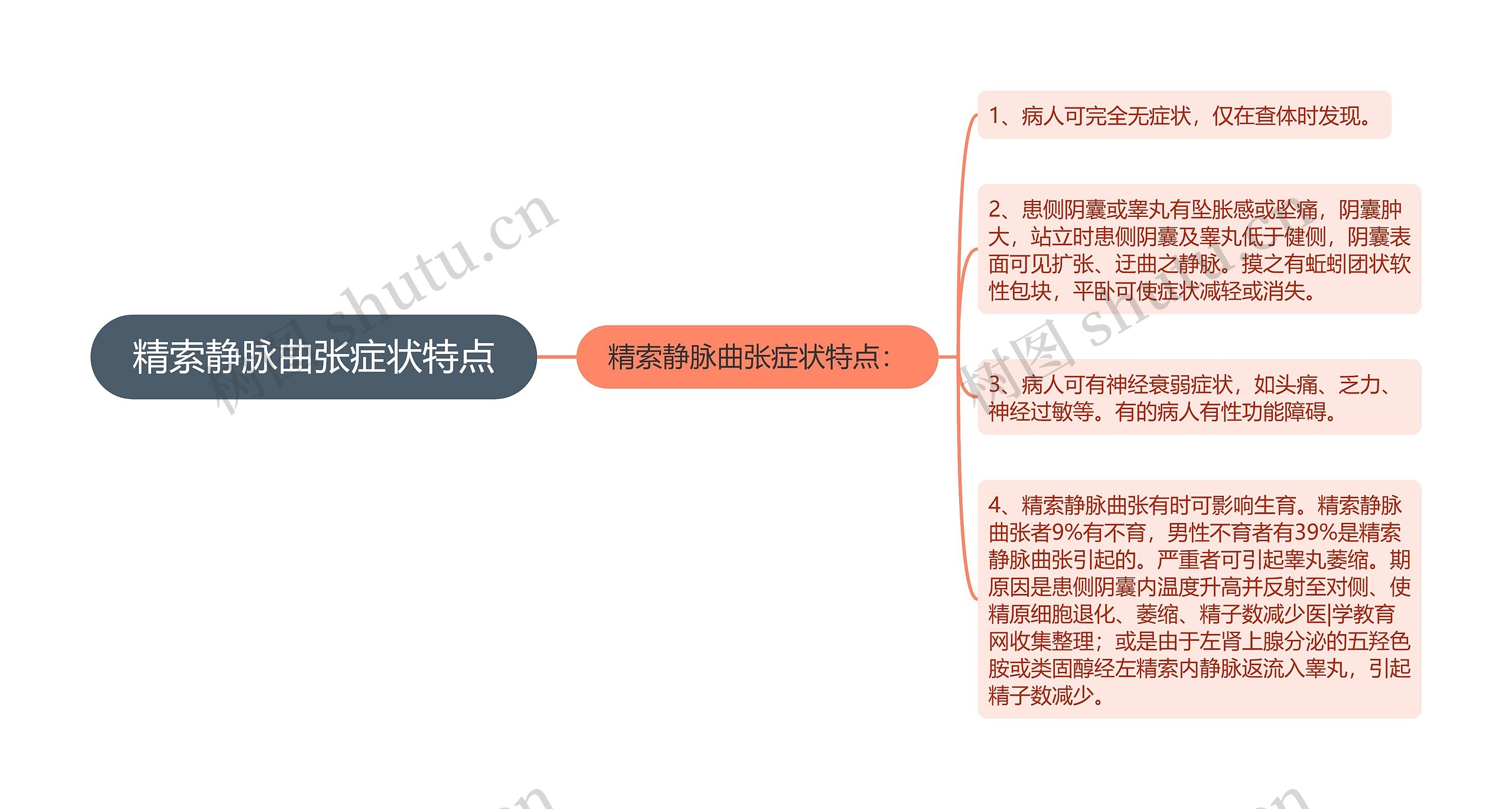 精索静脉曲张症状特点思维导图