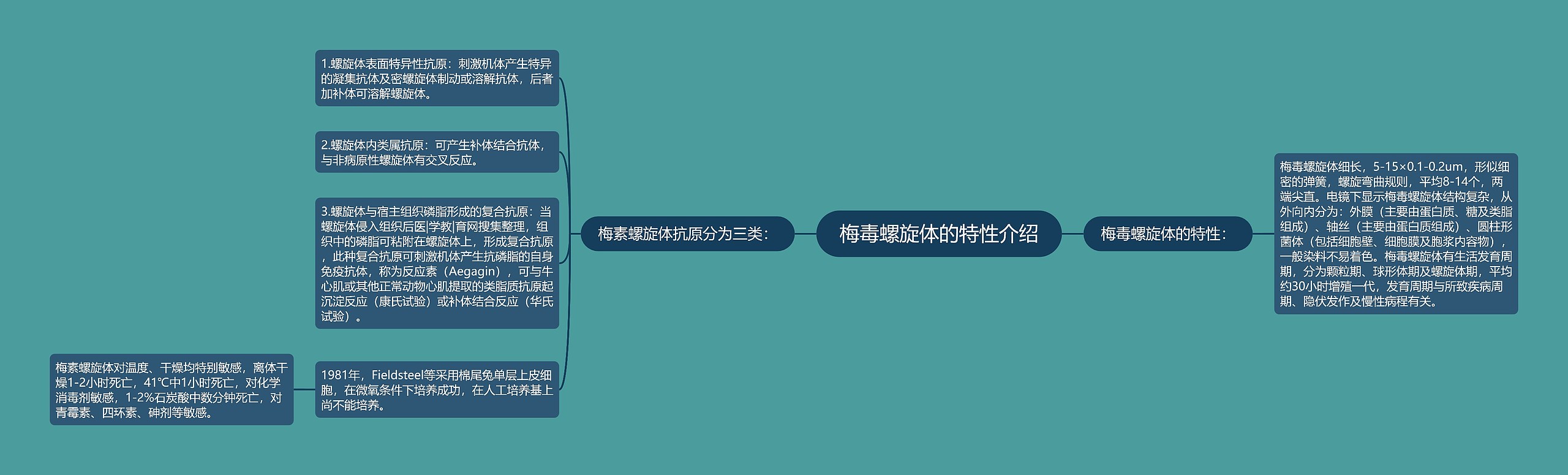 梅毒螺旋体的特性介绍 梅毒螺旋体的特性介绍