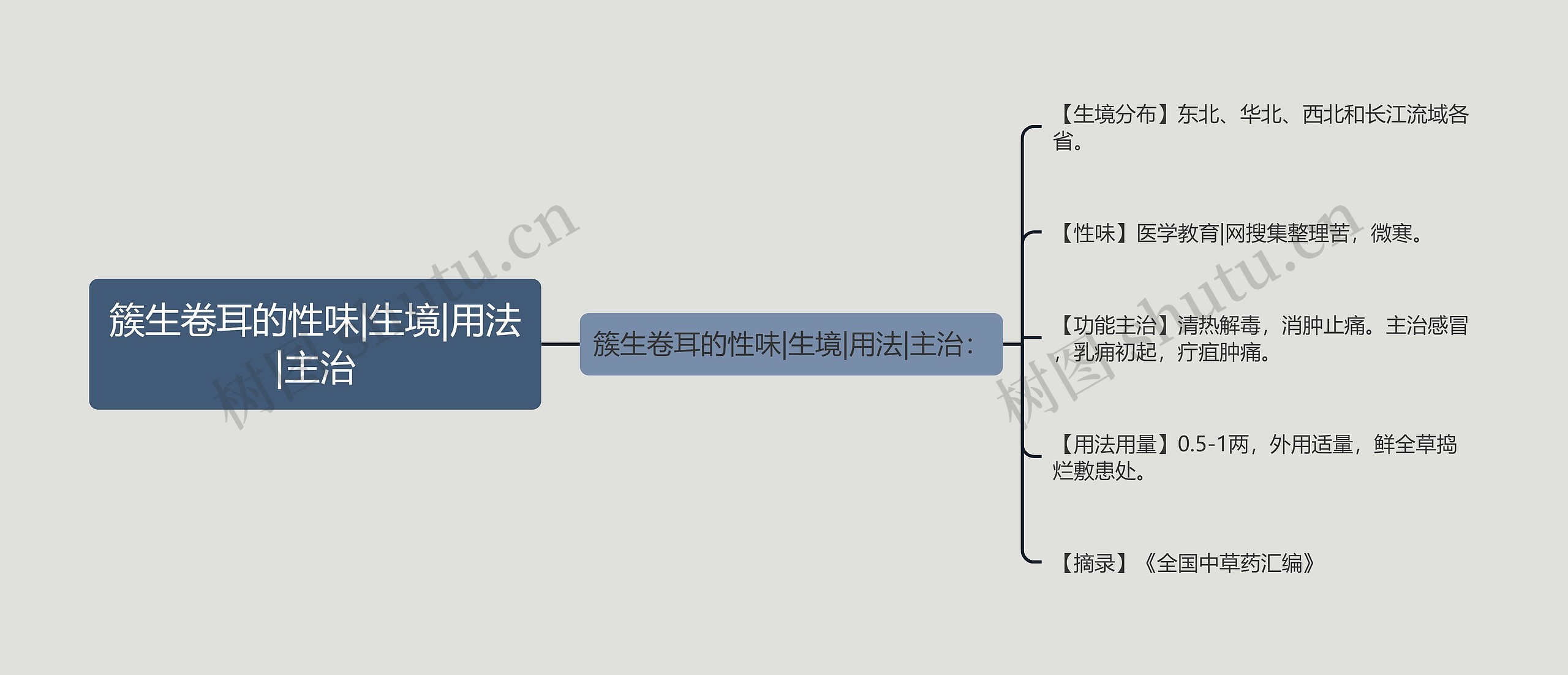 簇生卷耳的性味|生境|用法|主治思维导图