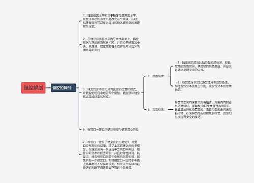 髓腔解剖