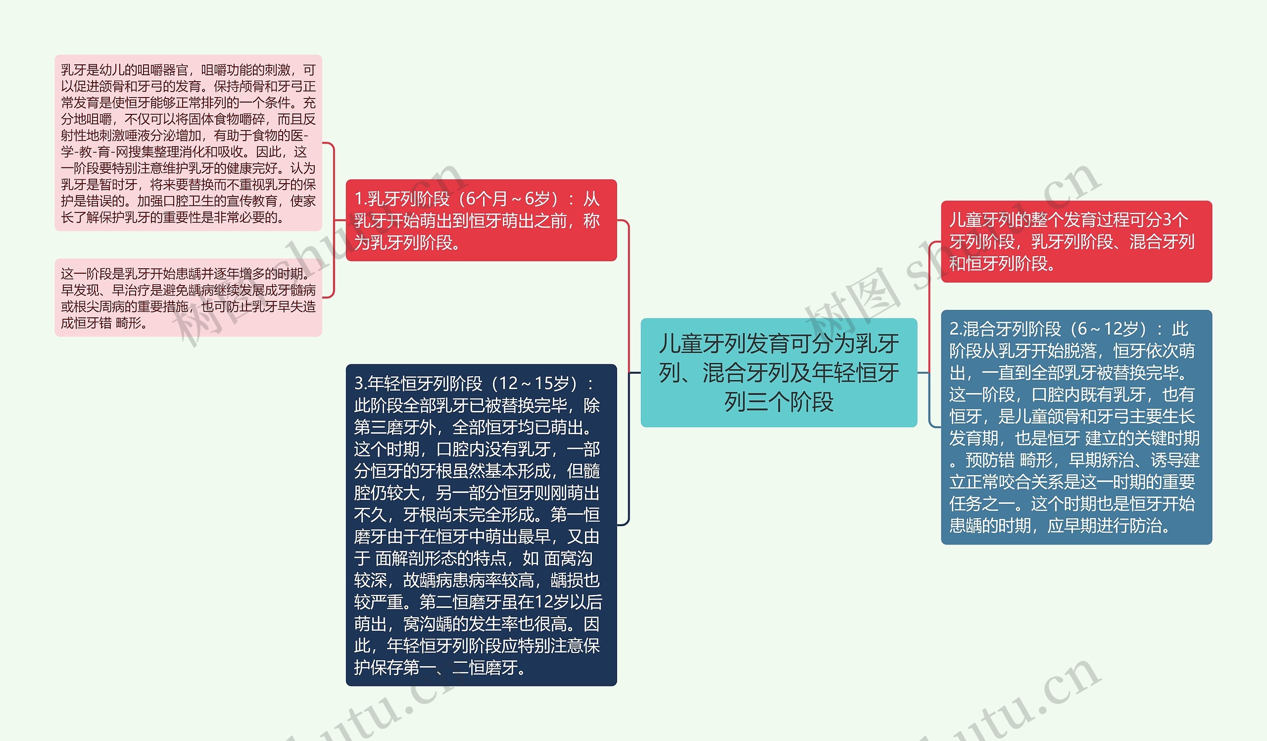 儿童牙列发育可分为乳牙列、混合牙列及年轻恒牙列三个阶段