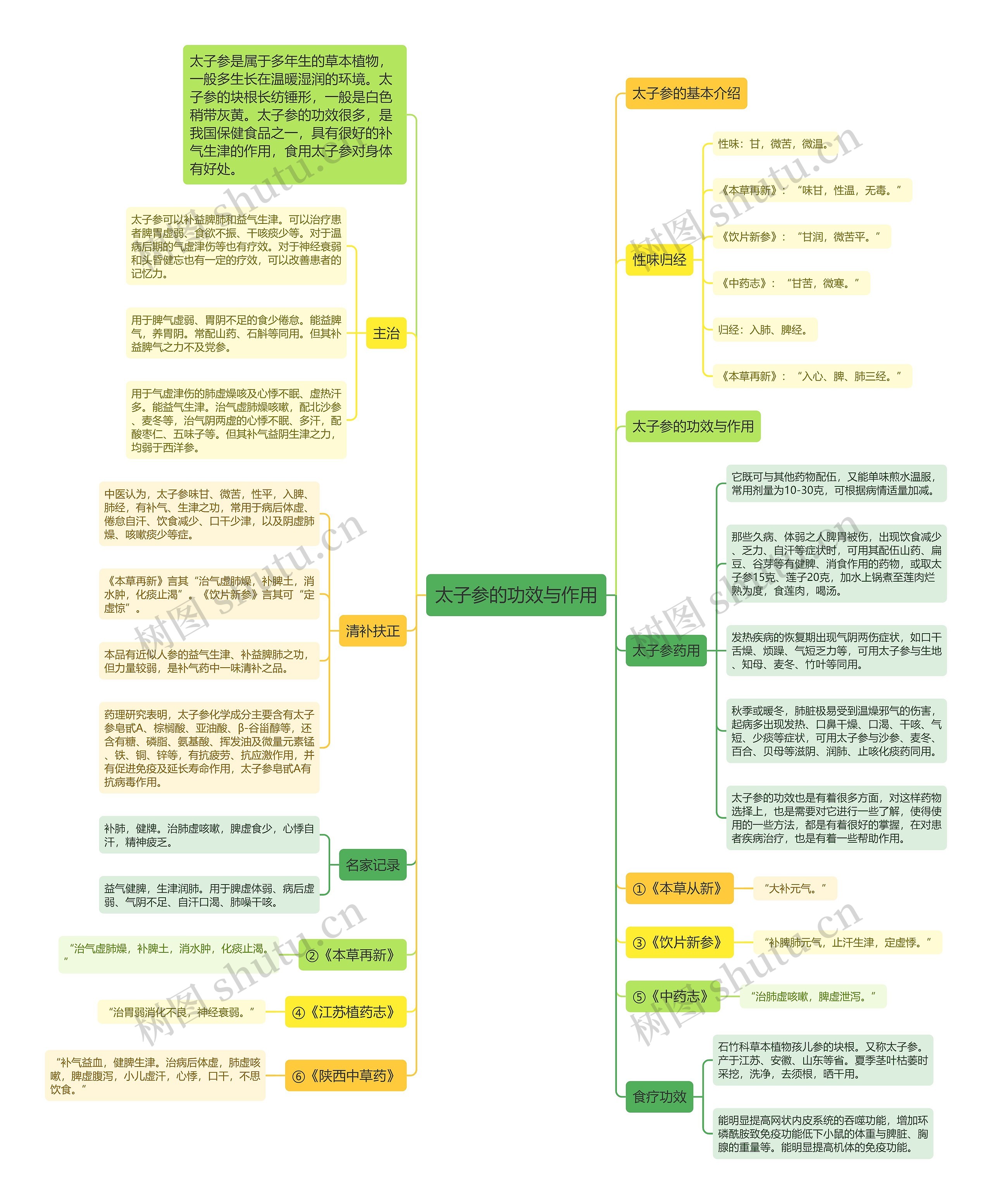 太子参的功效与作用思维导图