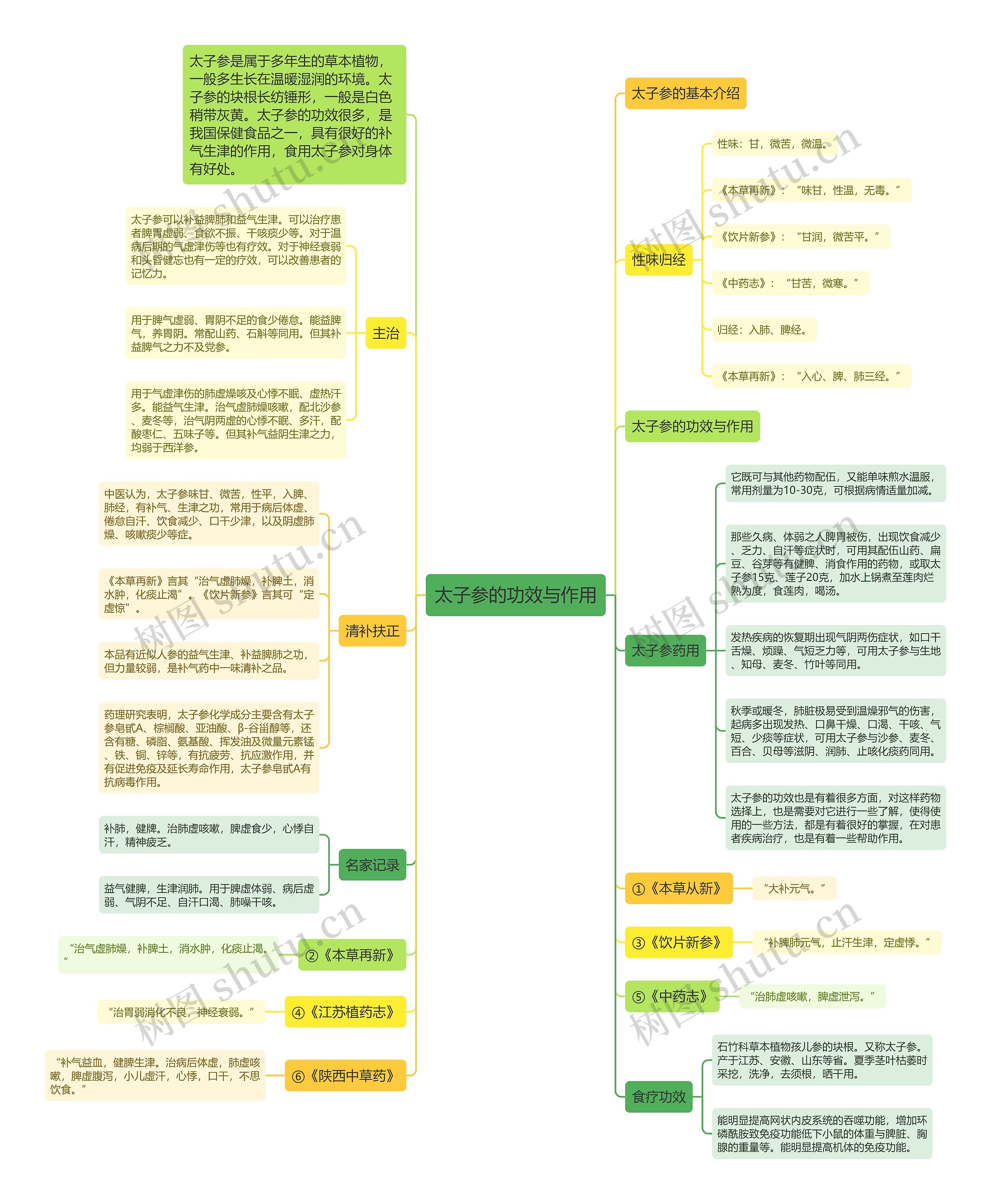 太子参的功效与作用 太子参的功效与作用