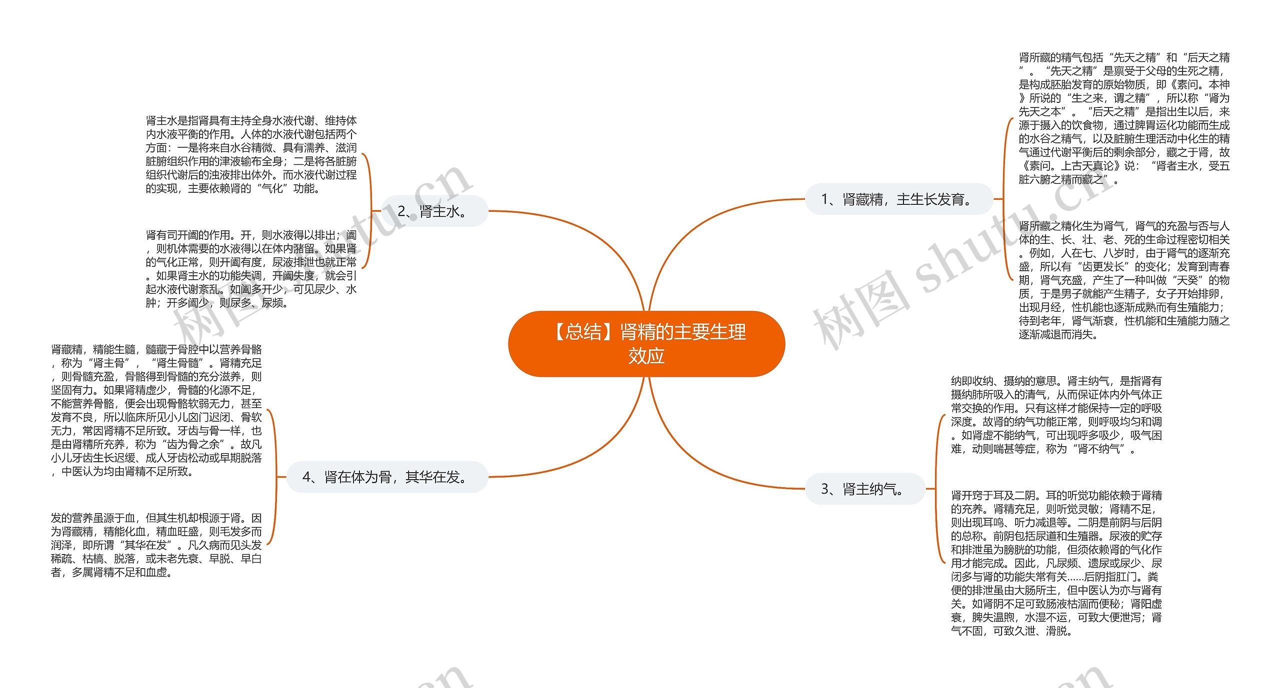 【总结】肾精的主要生理效应思维导图