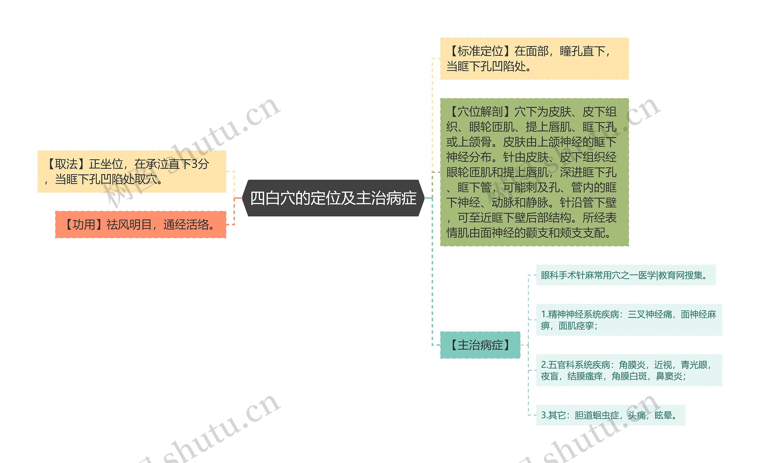 四白穴的定位及主治病症