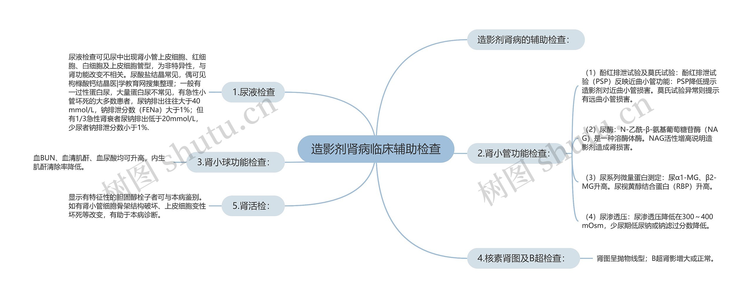 造影剂肾病临床辅助检查思维导图