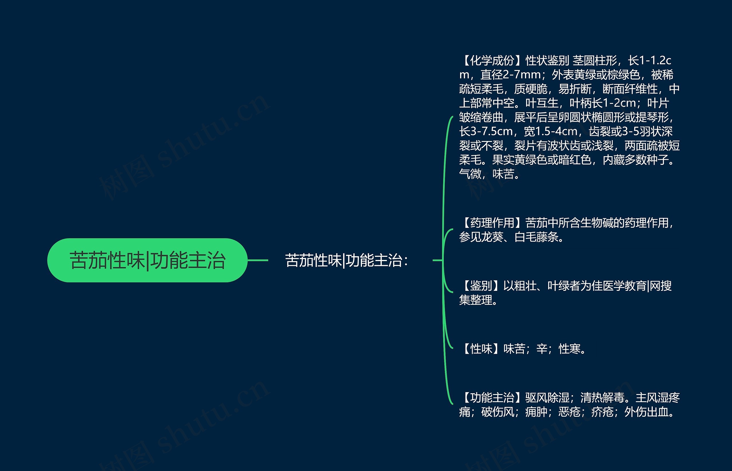 苦茄性味|功能主治思维导图