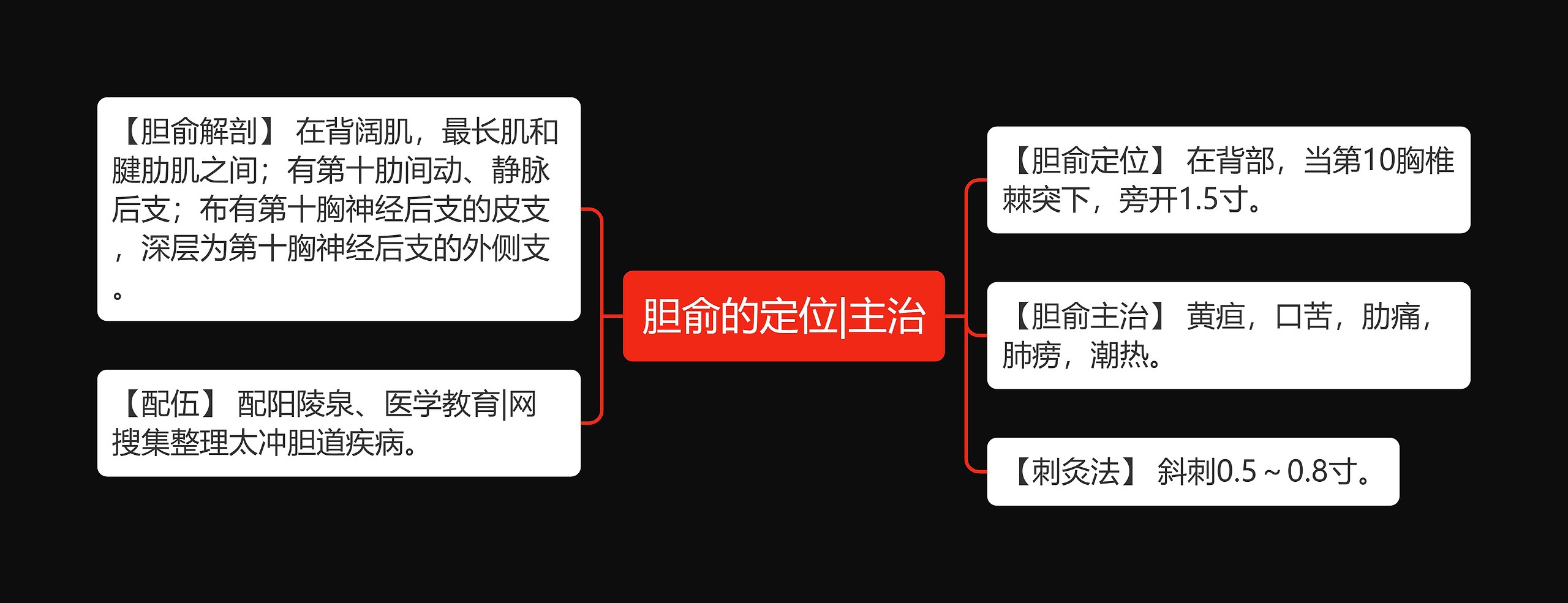 胆俞的定位|主治