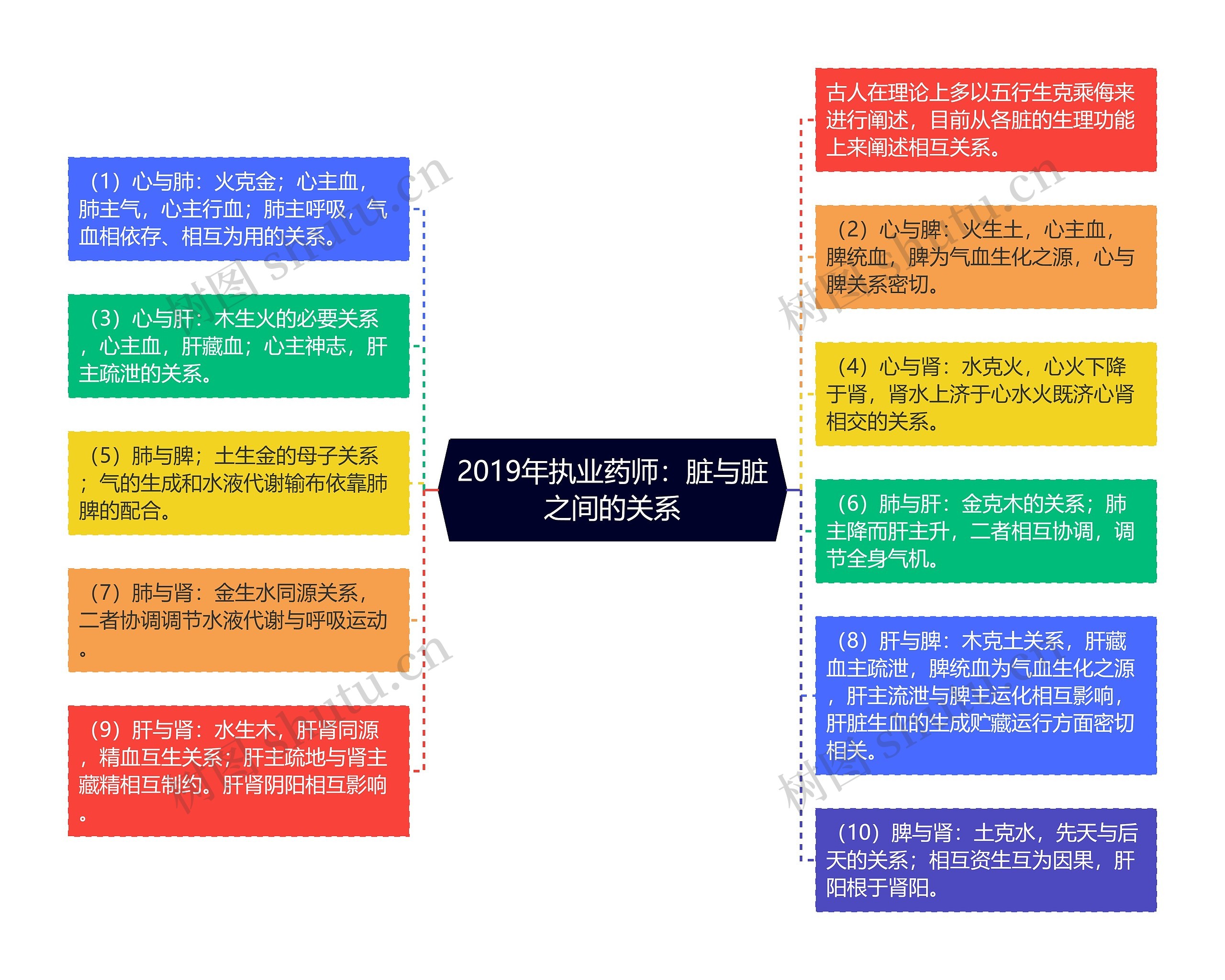 2019年执业药师：脏与脏之间的关系