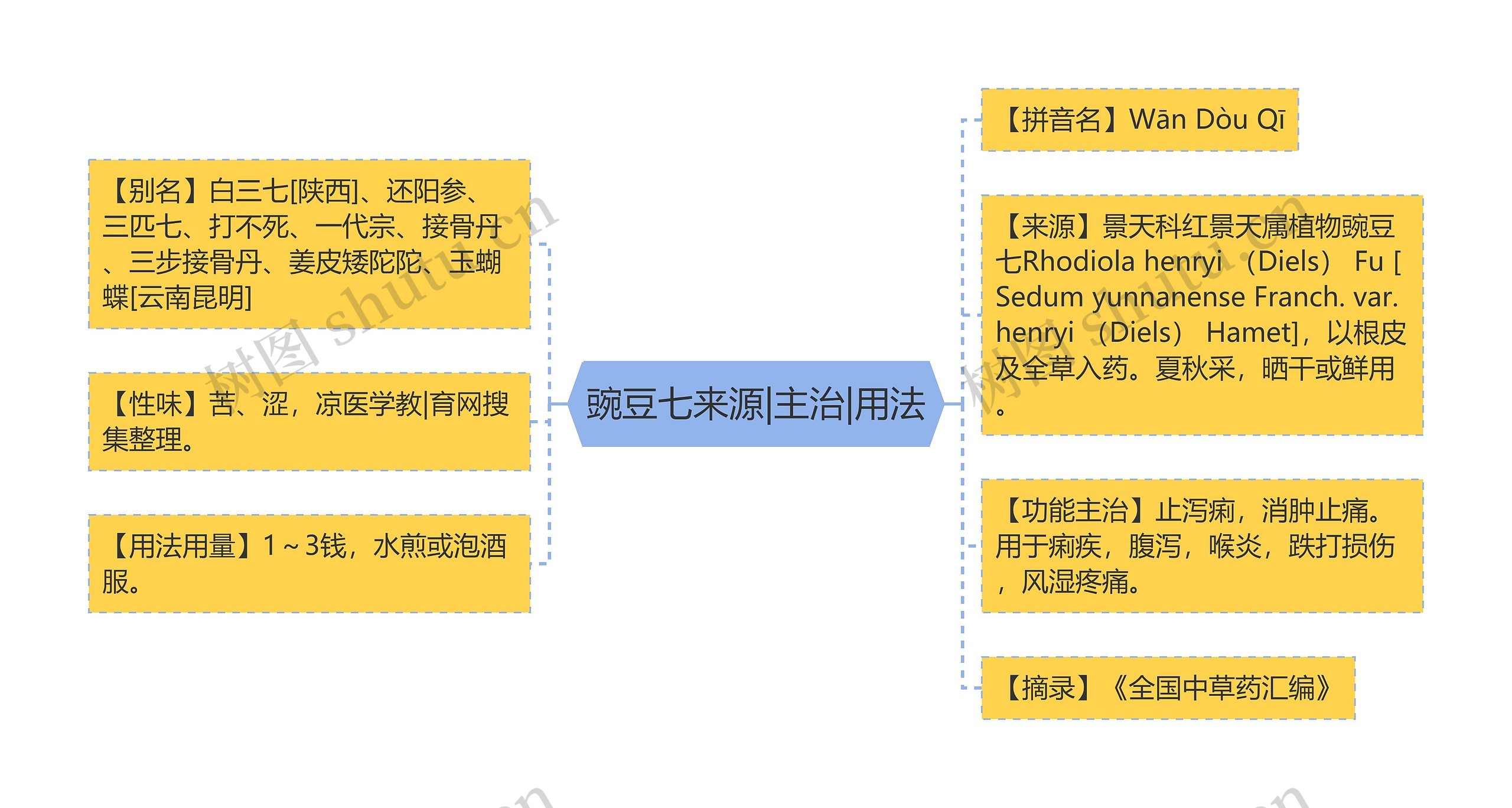 豌豆七来源|主治|用法