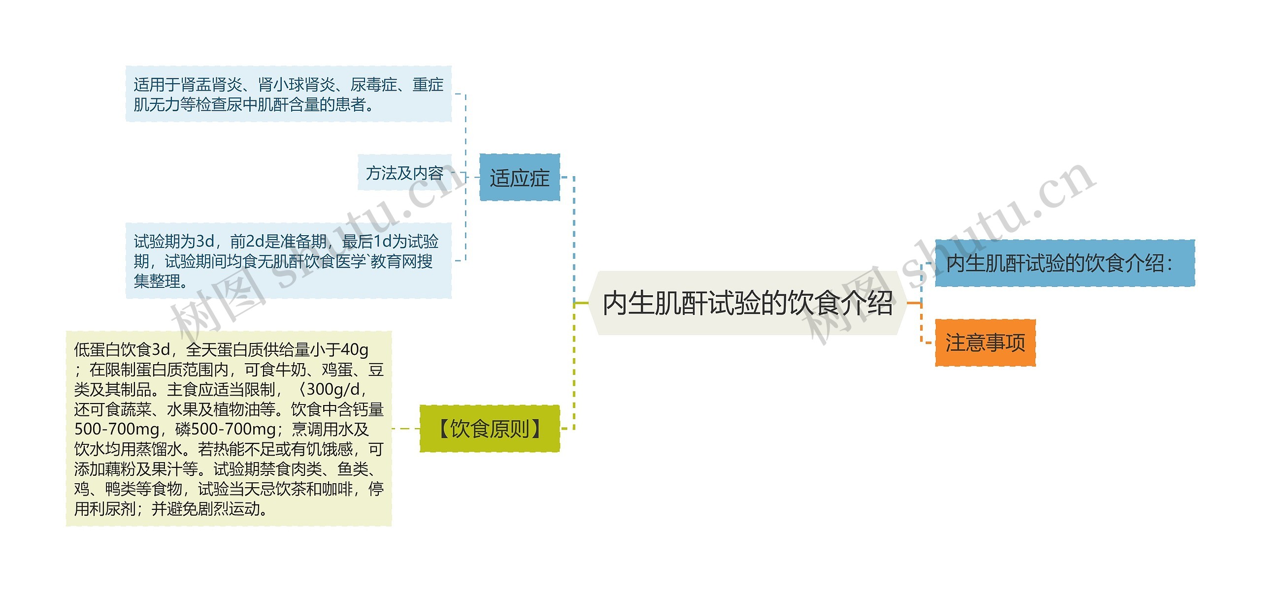 内生肌酐试验的饮食介绍思维导图