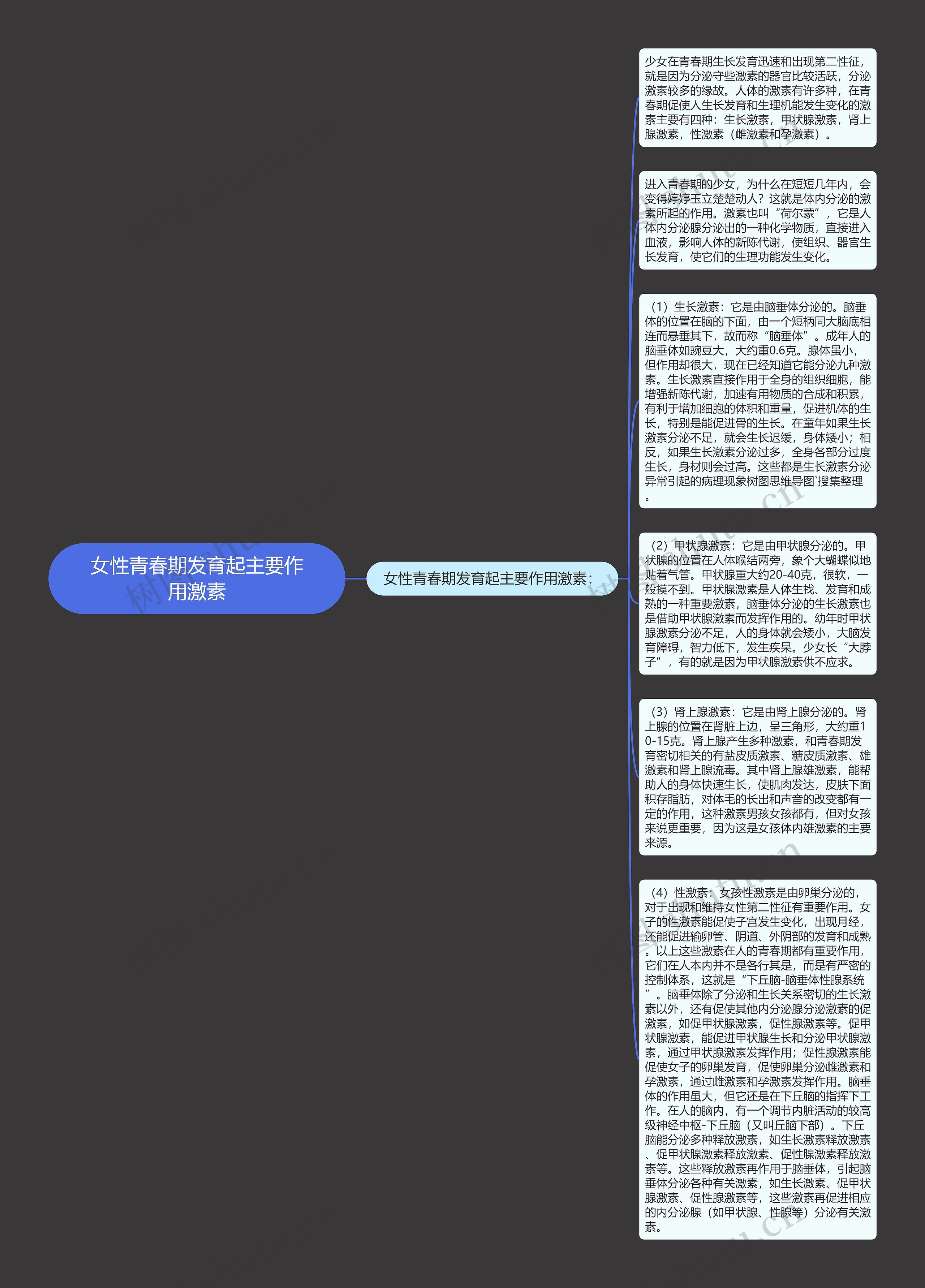 女性青春期发育起主要作用激素思维导图