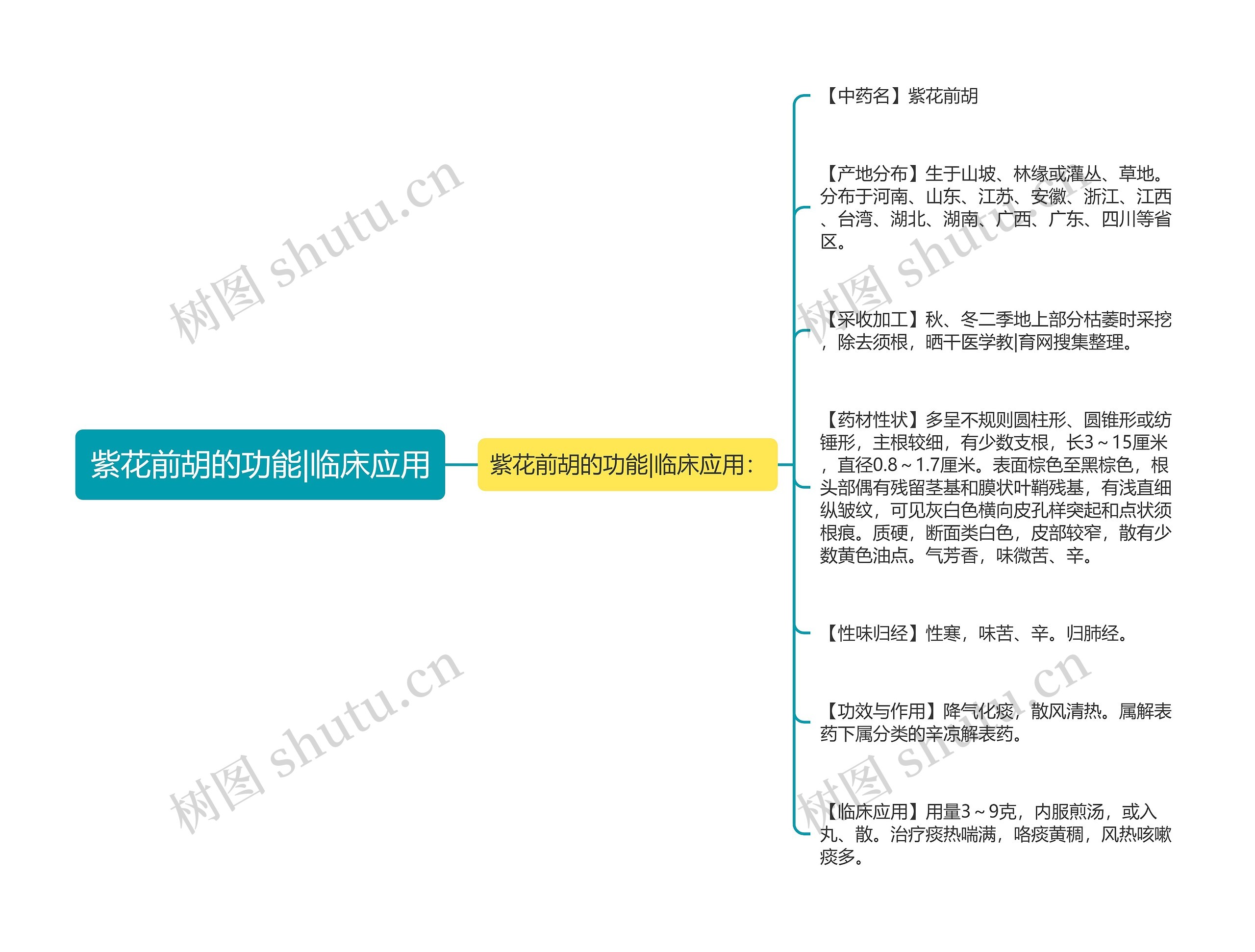 紫花前胡的功能|临床应用思维导图