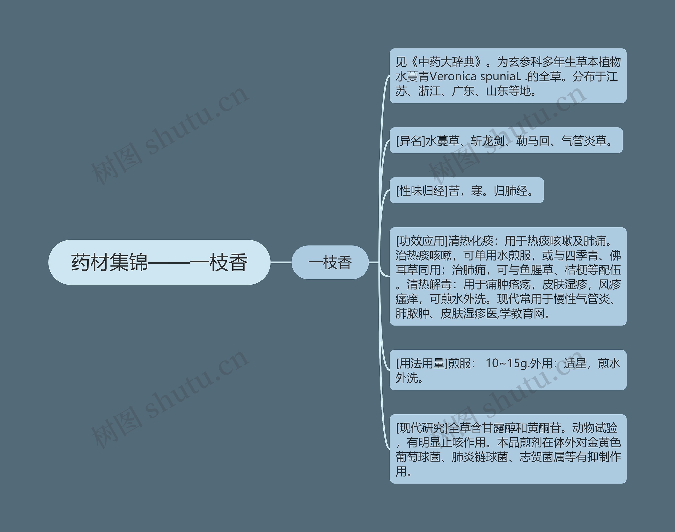 药材集锦——一枝香思维导图