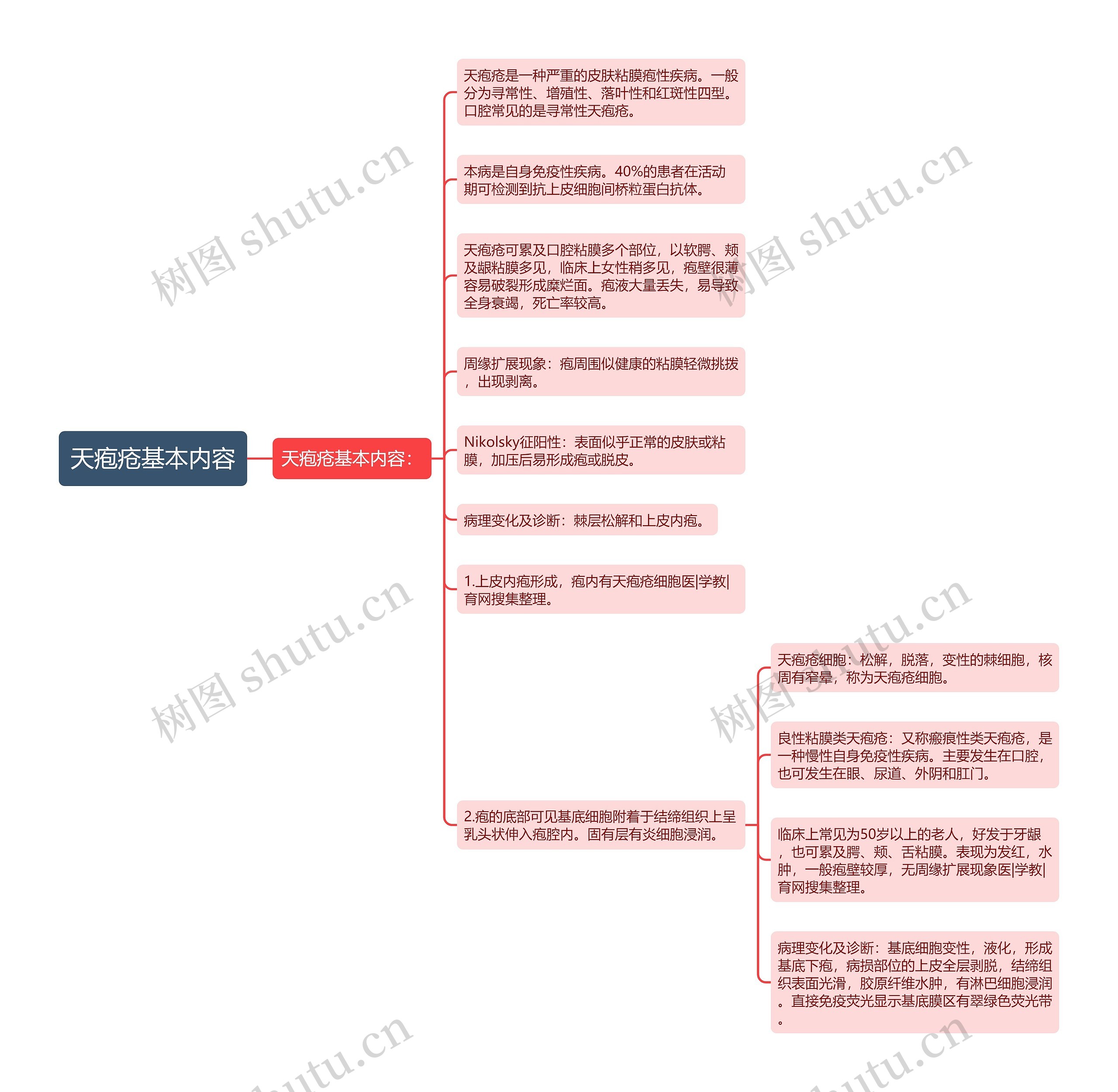 天疱疮基本内容思维导图