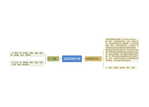 泌尿系统分类