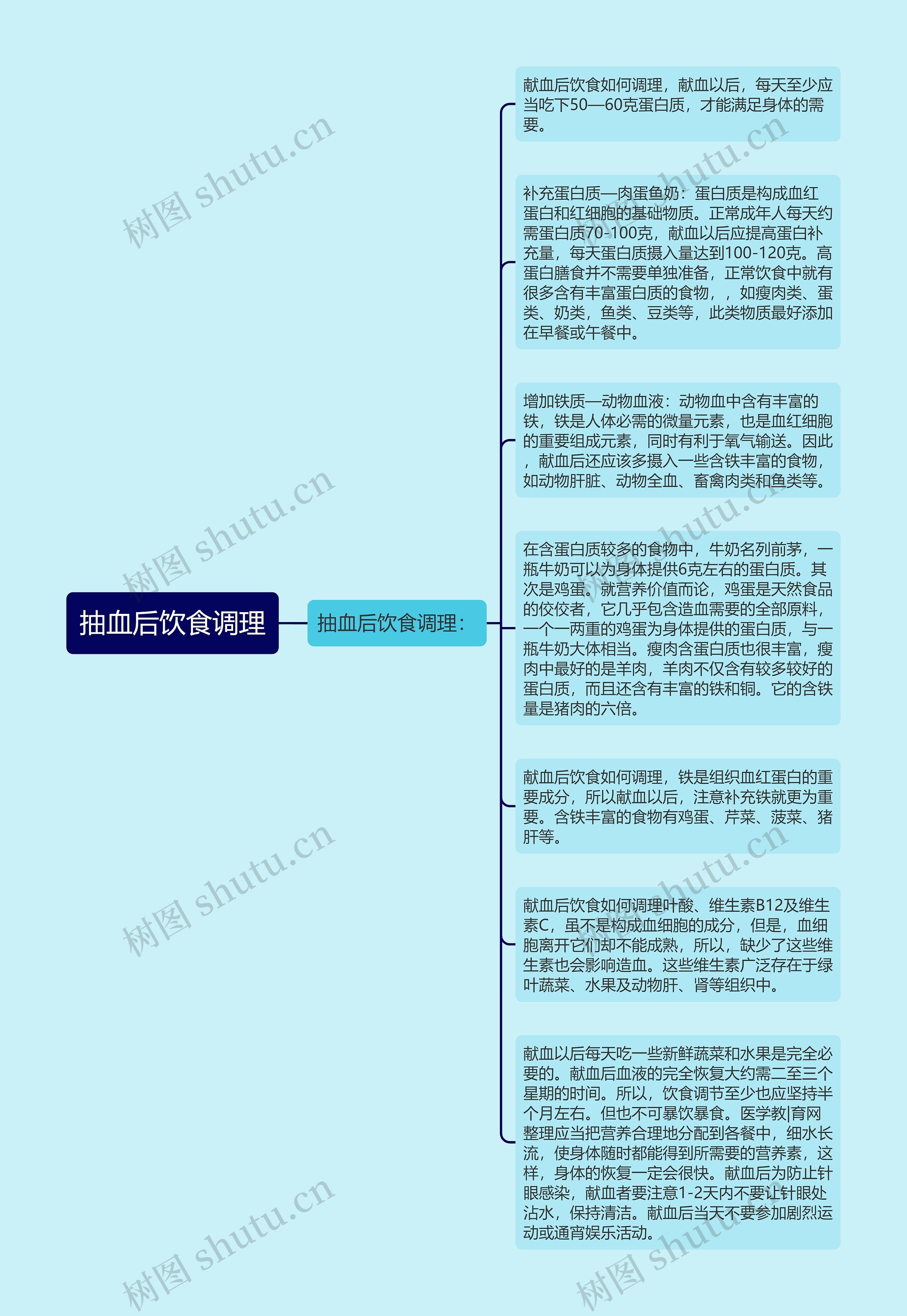 抽血后饮食调理思维导图