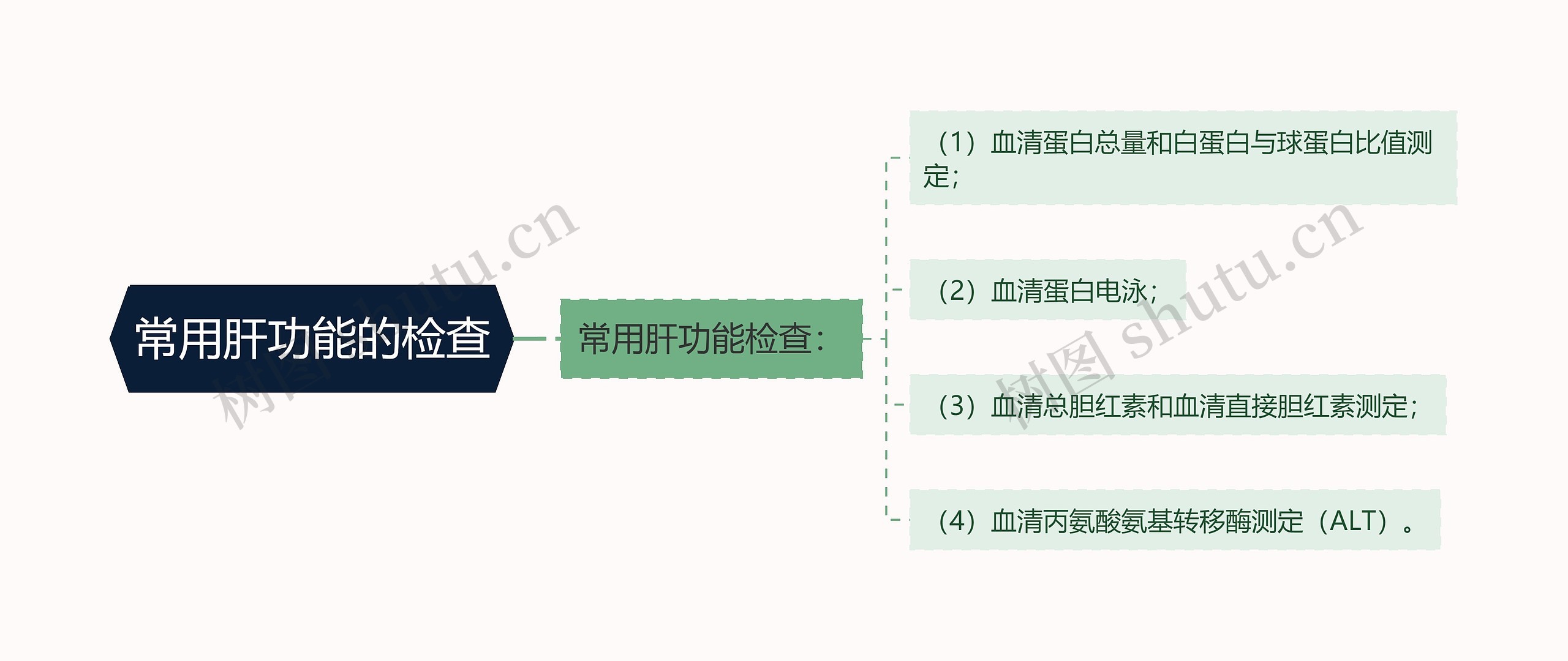 常用肝功能的检查思维导图