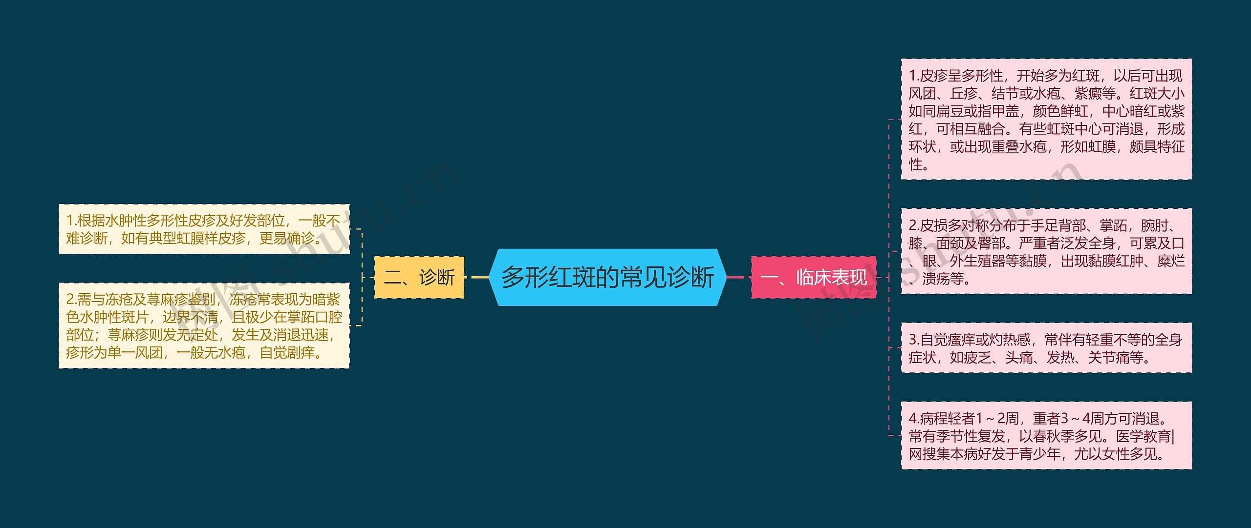 多形红斑的常见诊断