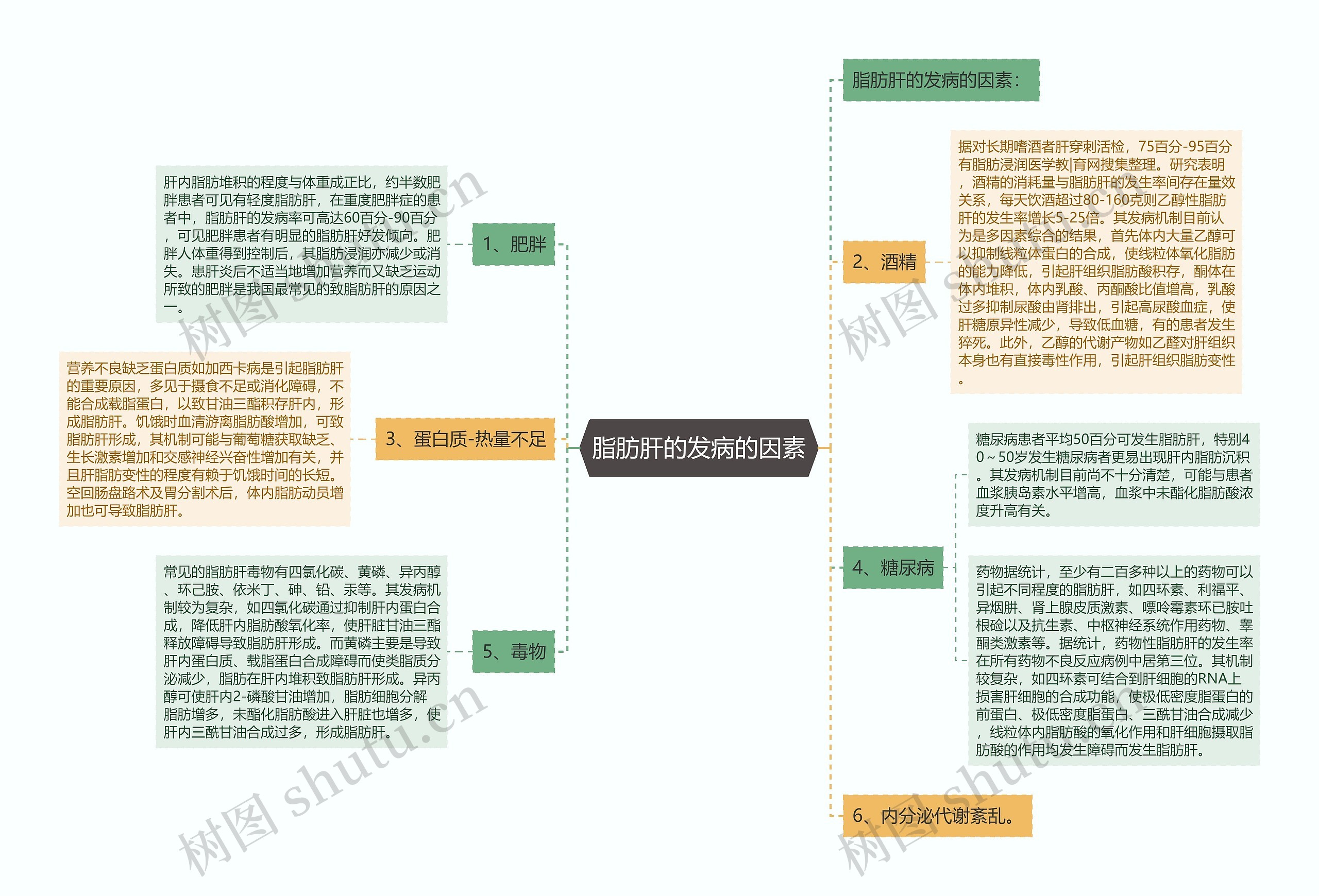 脂肪肝的发病的因素思维导图