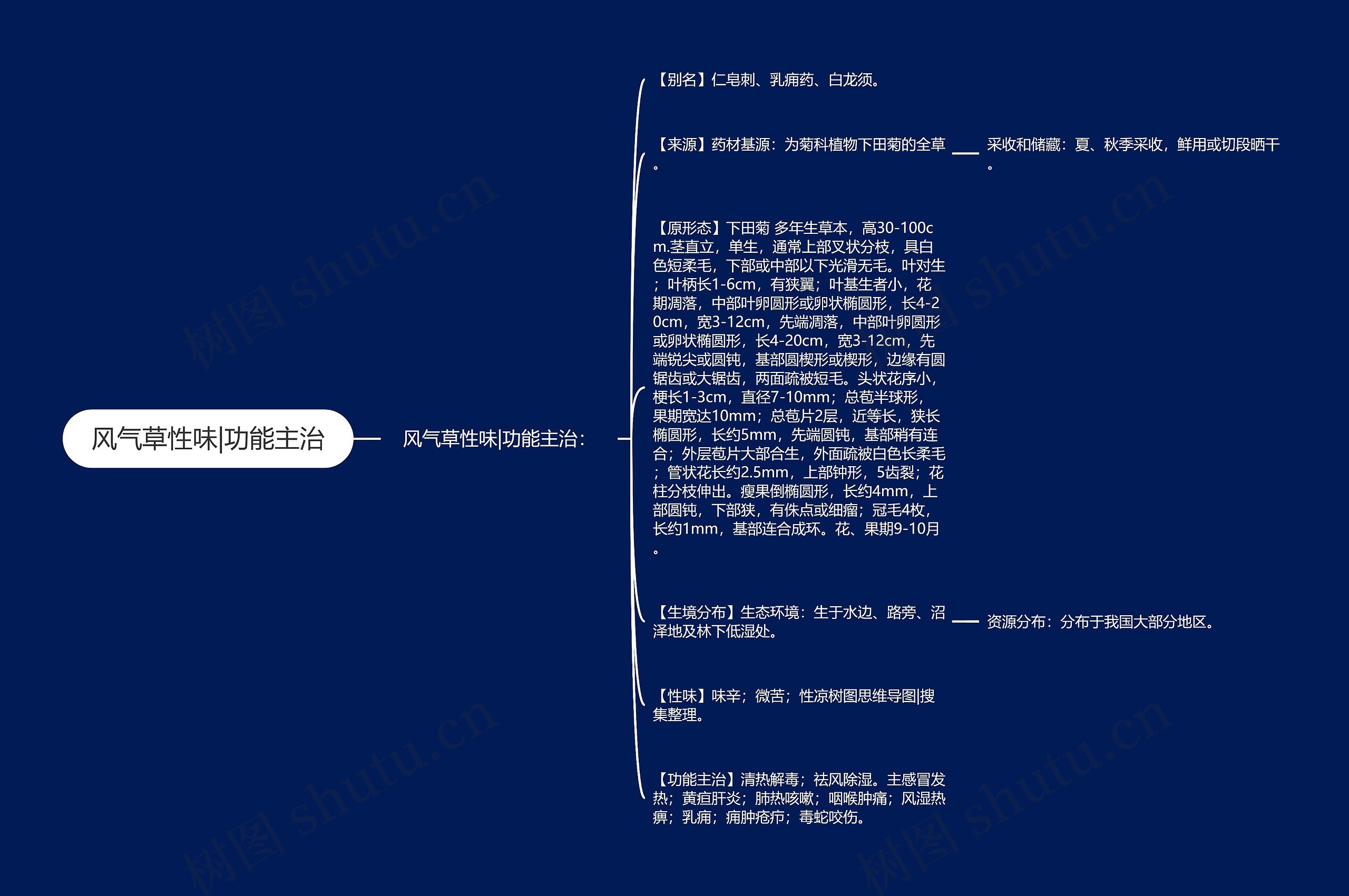 风气草性味|功能主治思维导图