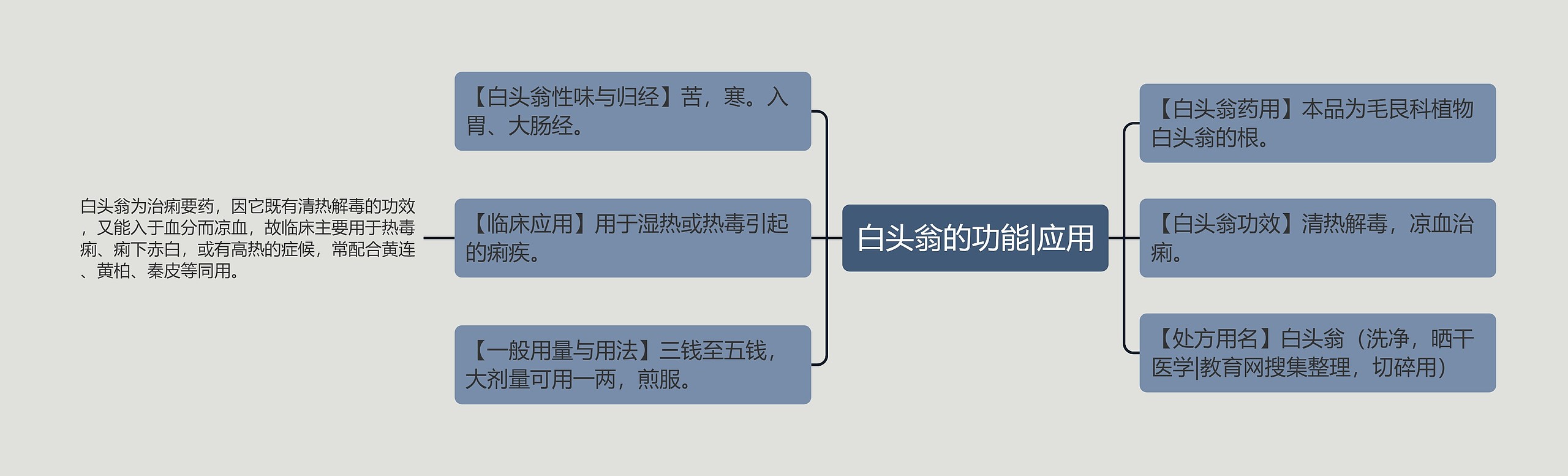 白头翁的功能|应用思维导图