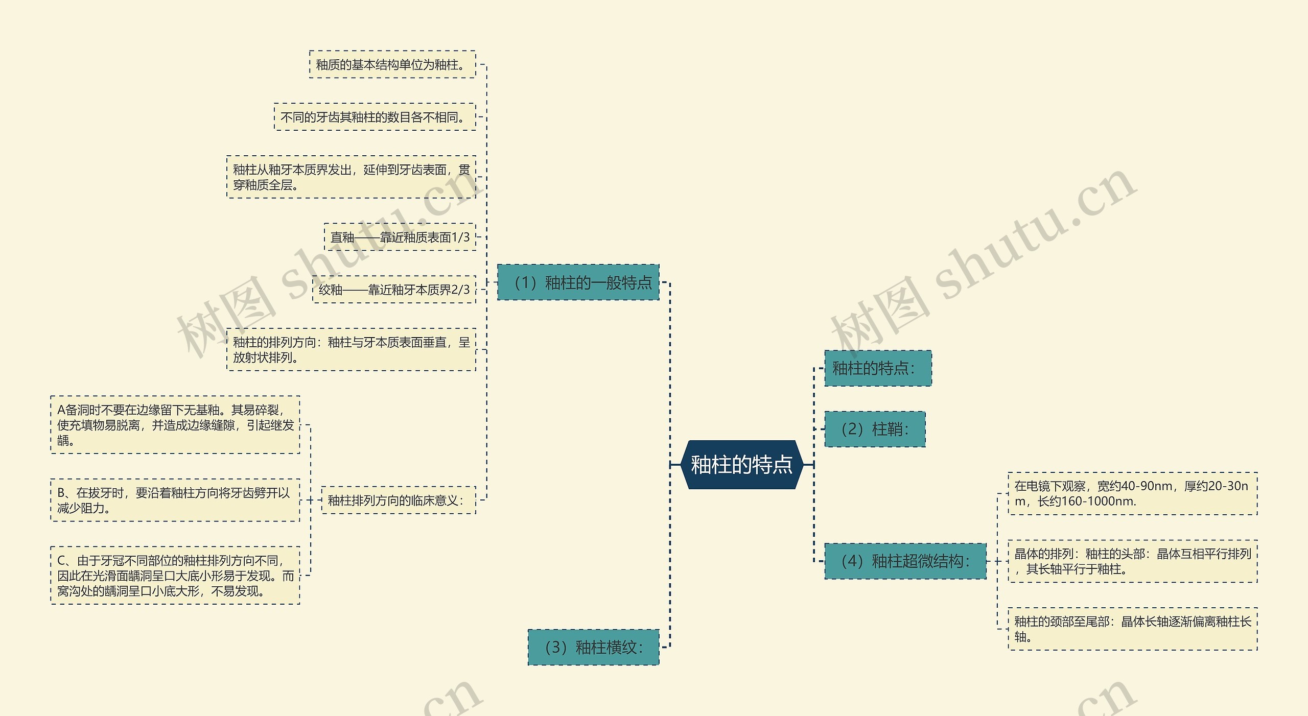 釉柱的特点 釉柱的特点