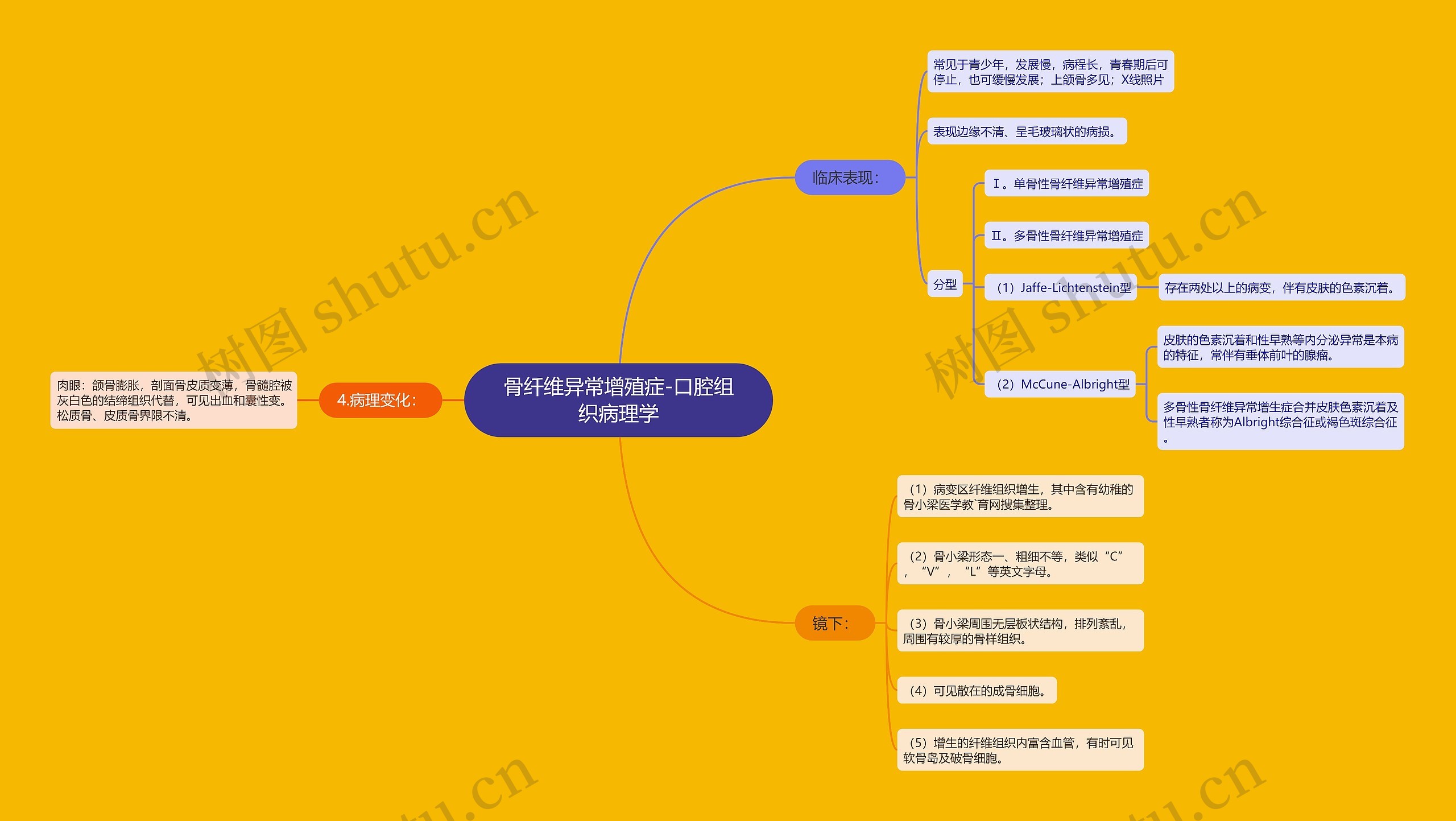 骨纤维异常增殖症-口腔组织病理学思维导图