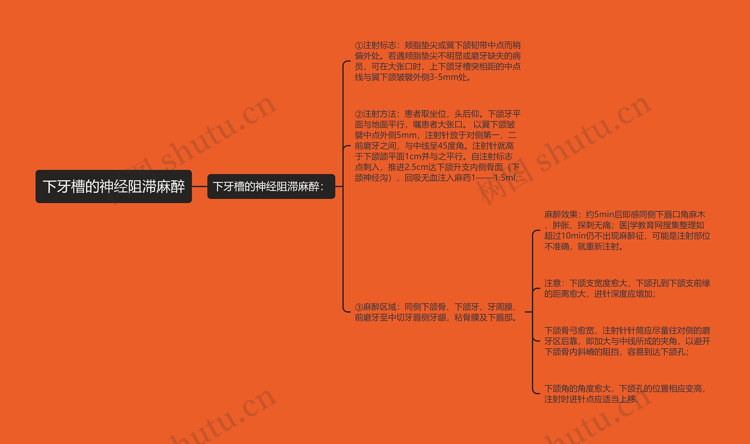 下牙槽的神经阻滞麻醉 下牙槽的神经阻滞麻醉