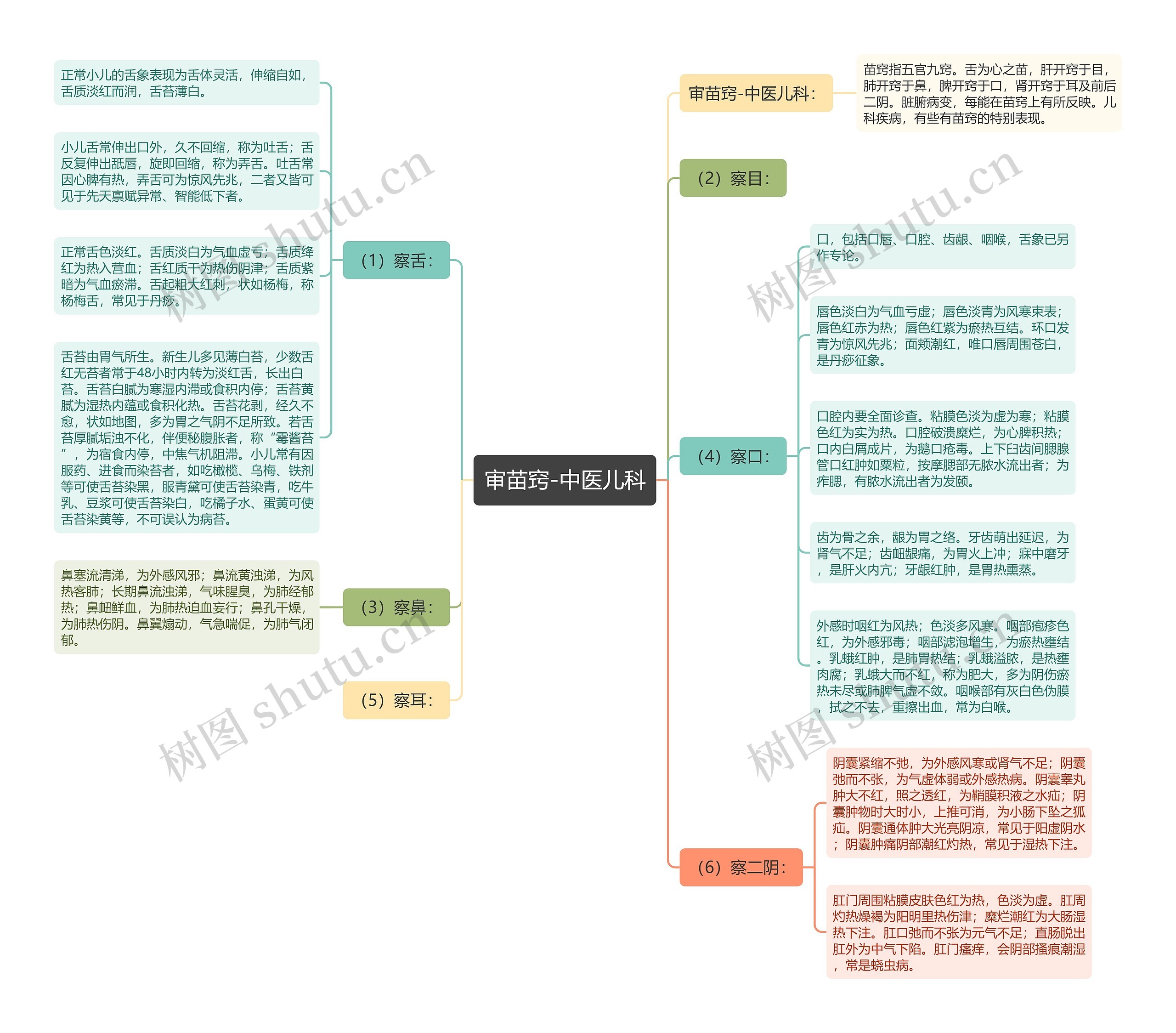 审苗窍-中医儿科思维导图