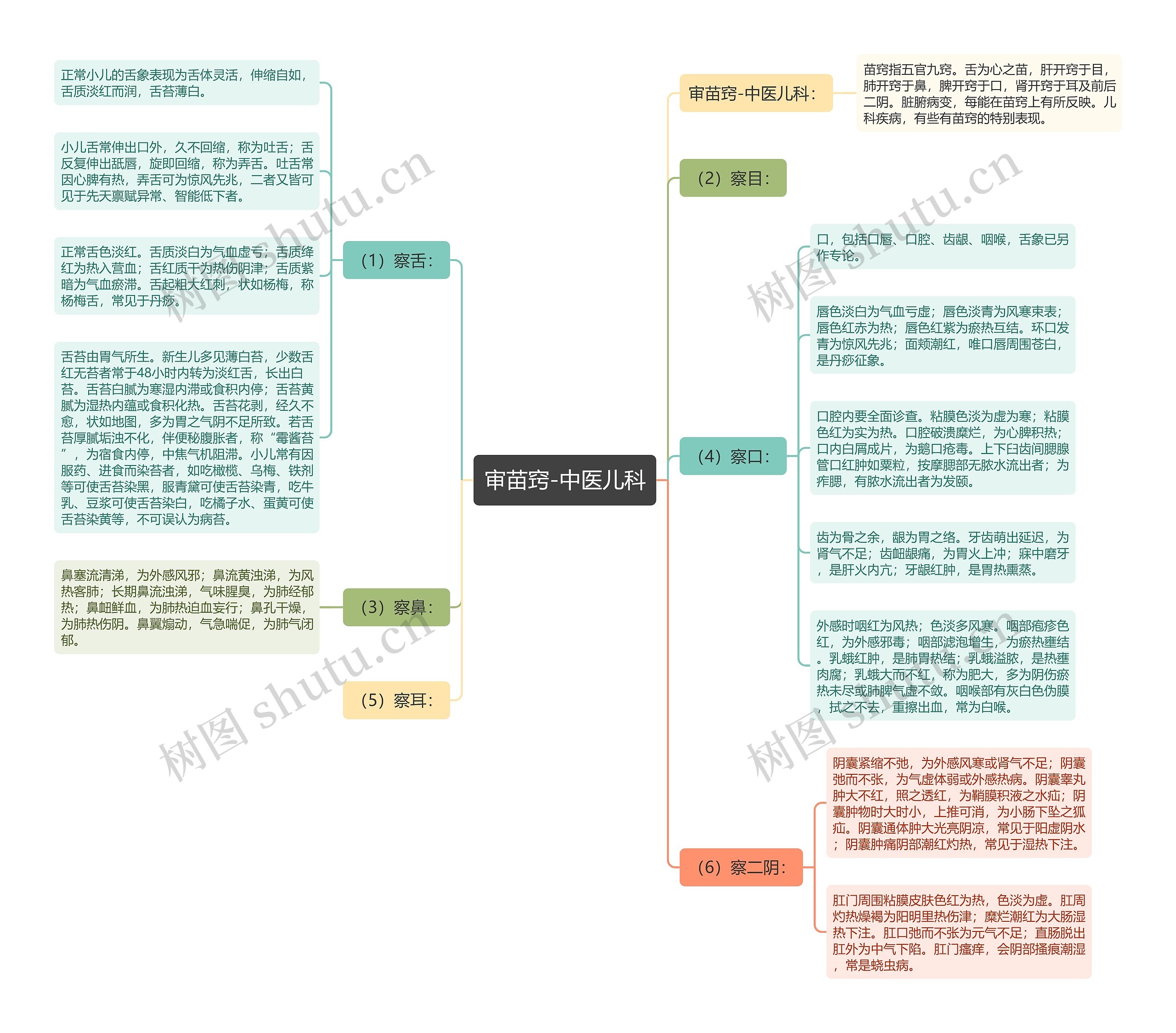 审苗窍-中医儿科 审苗窍-中医儿科