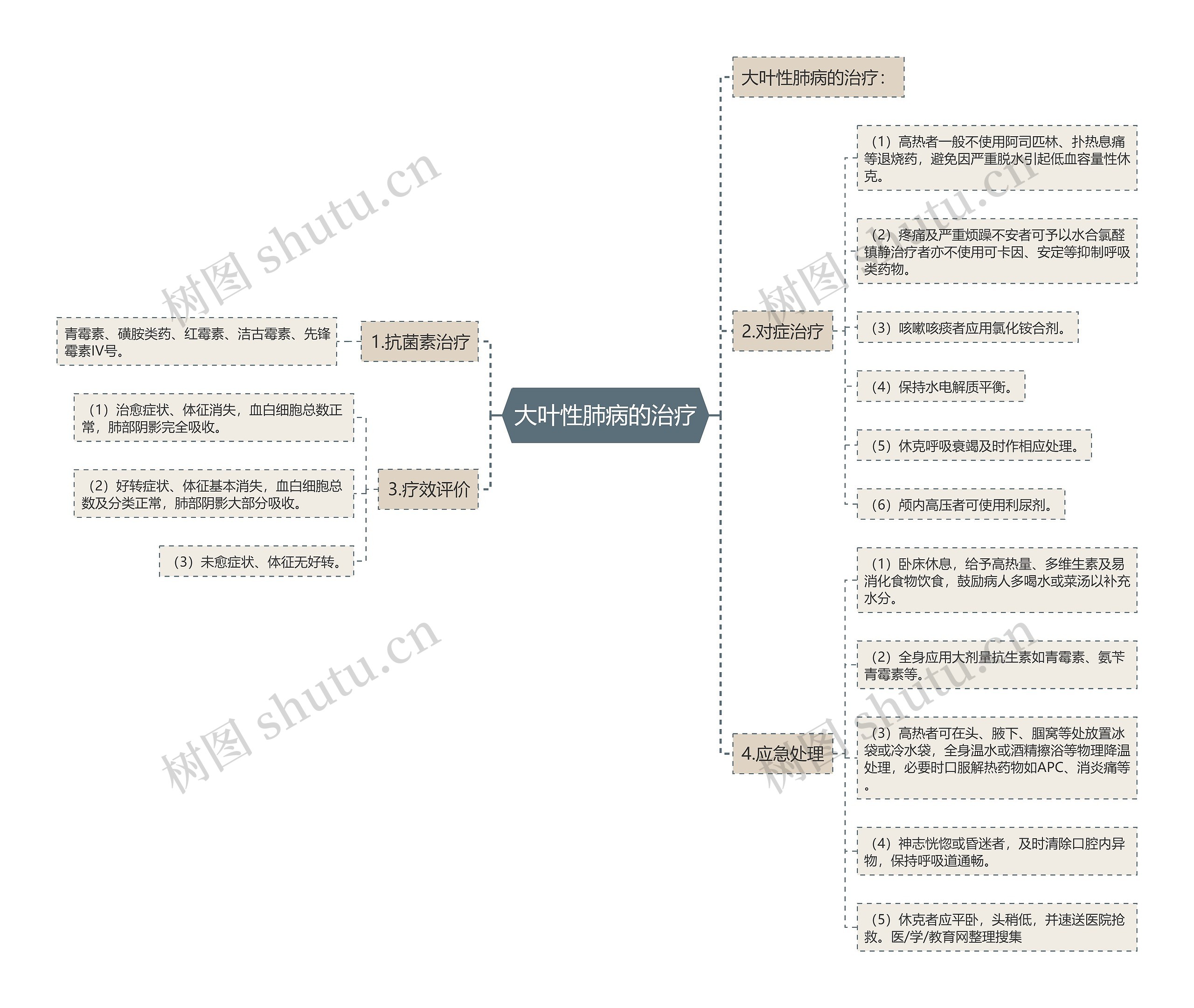 大叶性肺病的治疗思维导图