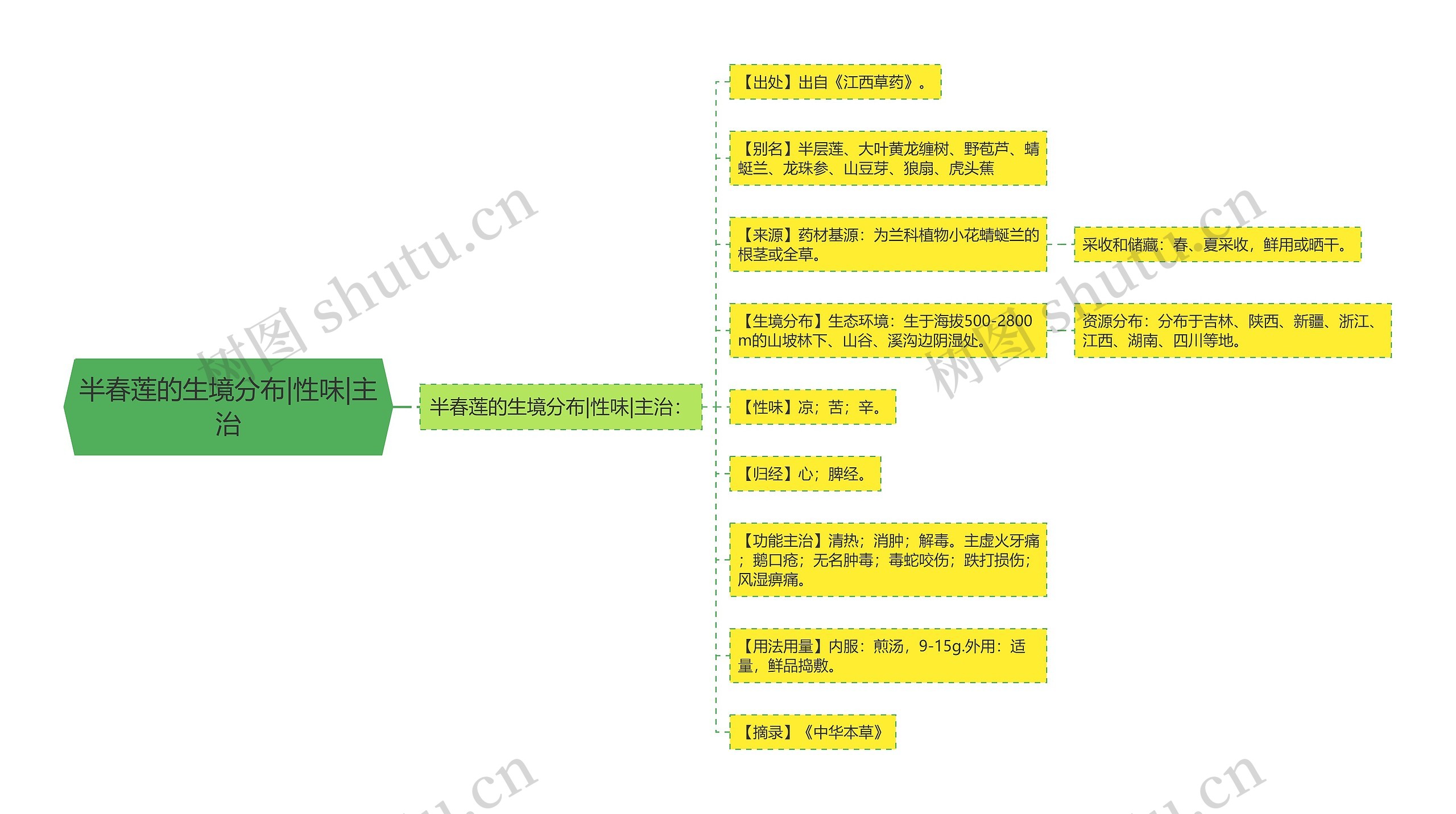 半春莲的生境分布|性味|主治思维导图