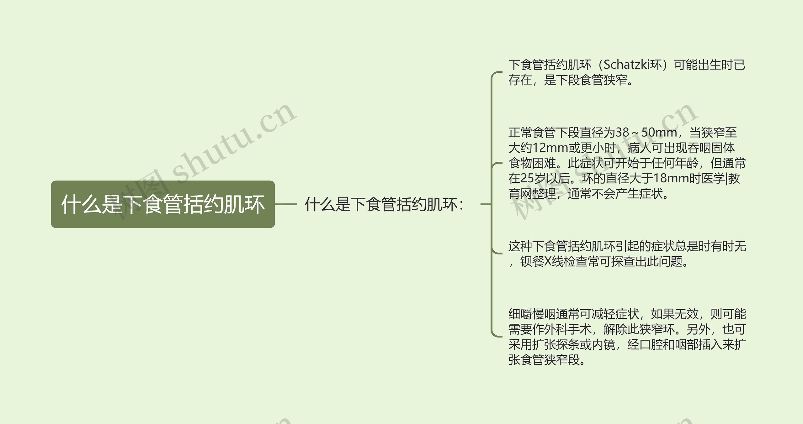 什么是下食管括约肌环 什么是下食管括约肌环