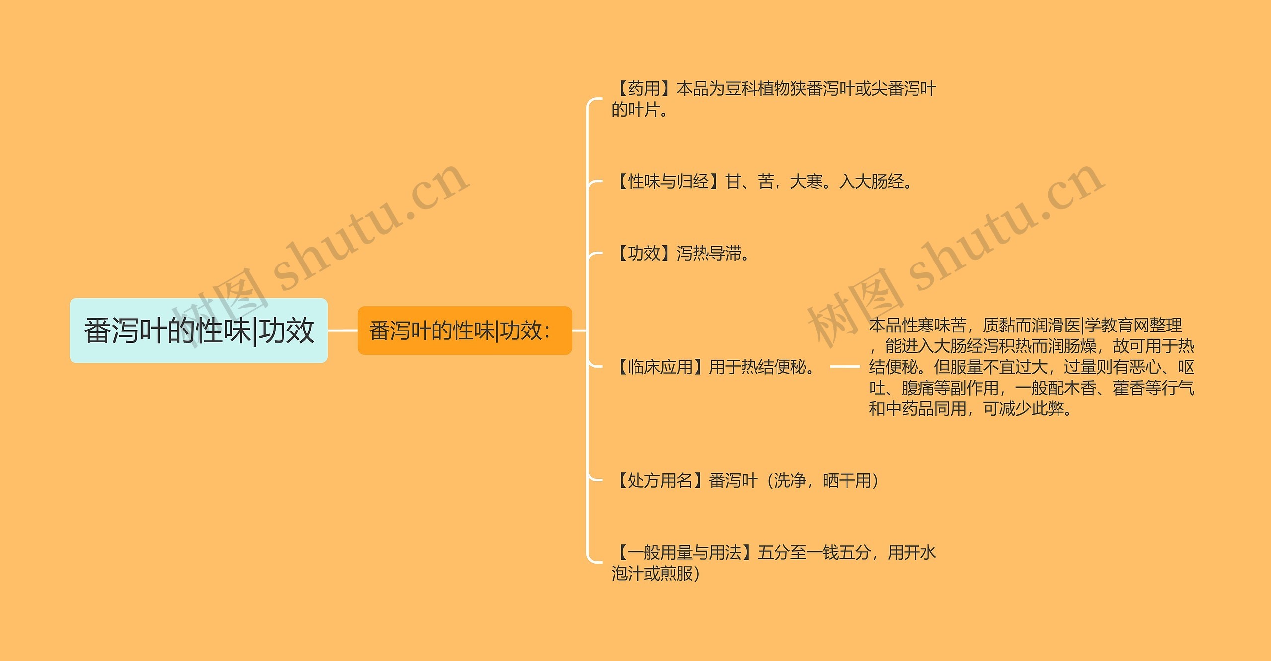 番泻叶的性味|功效思维导图