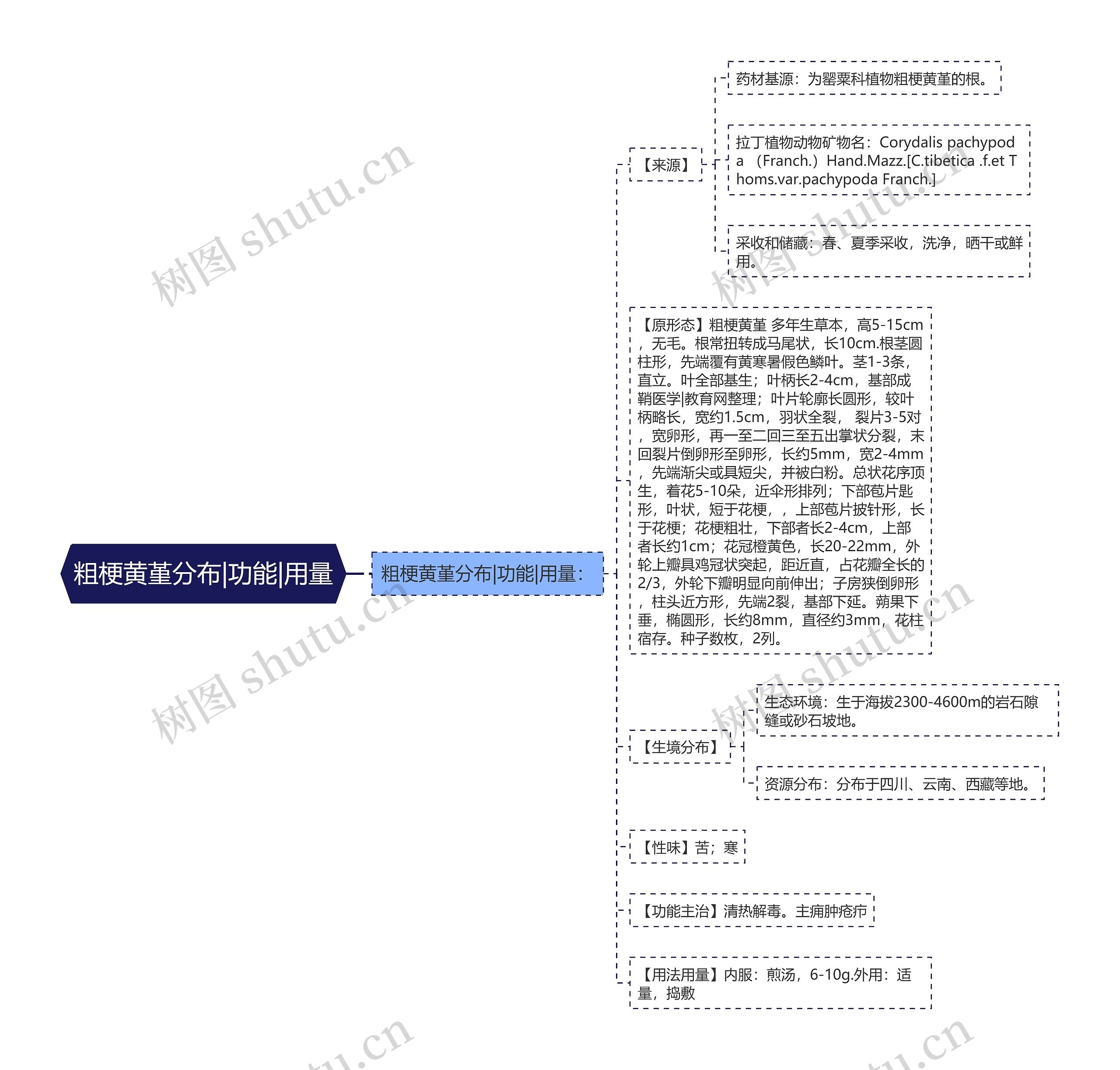 粗梗黄堇分布|功能|用量