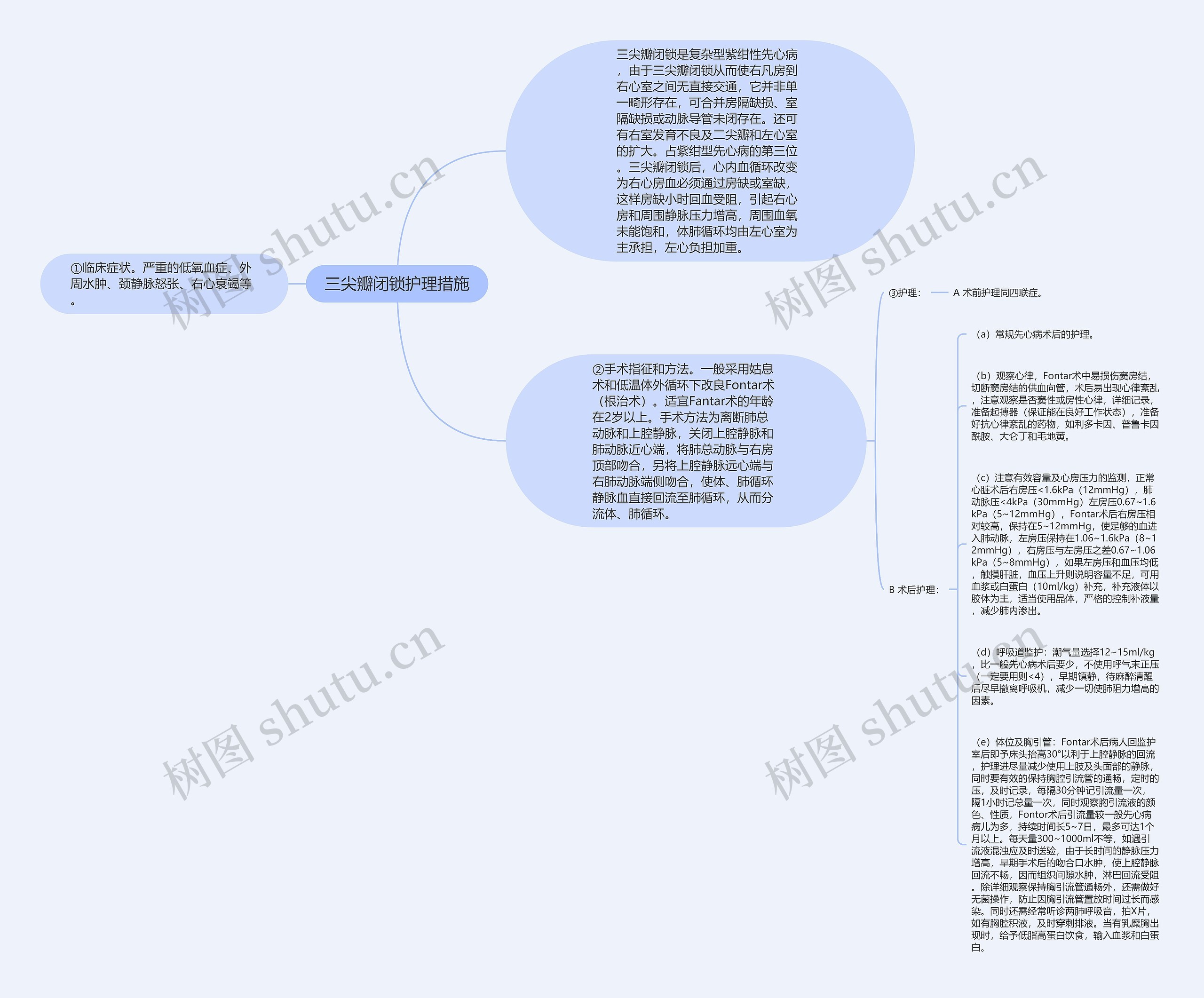 三尖瓣闭锁护理措施思维导图