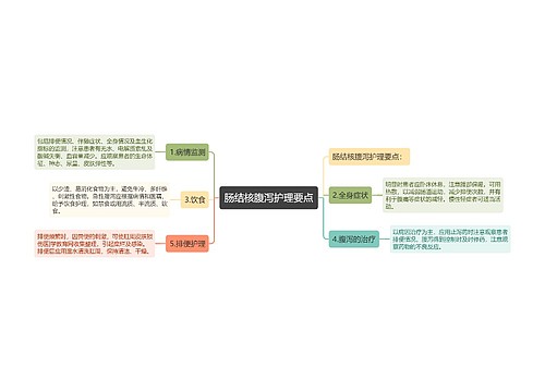 肠结核腹泻护理要点