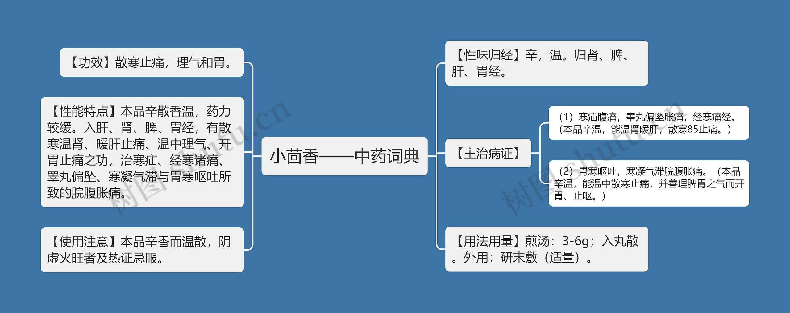 小茴香——中药词典思维导图