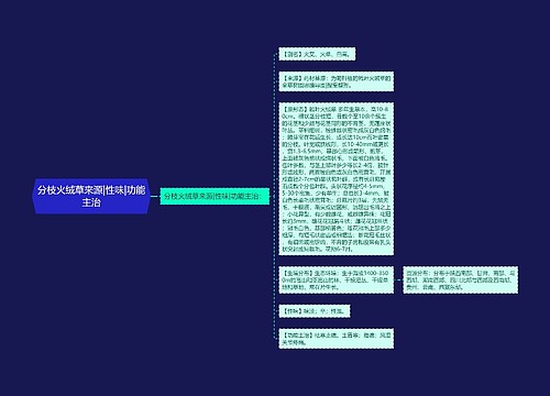 分枝火绒草来源|性味|功能主治