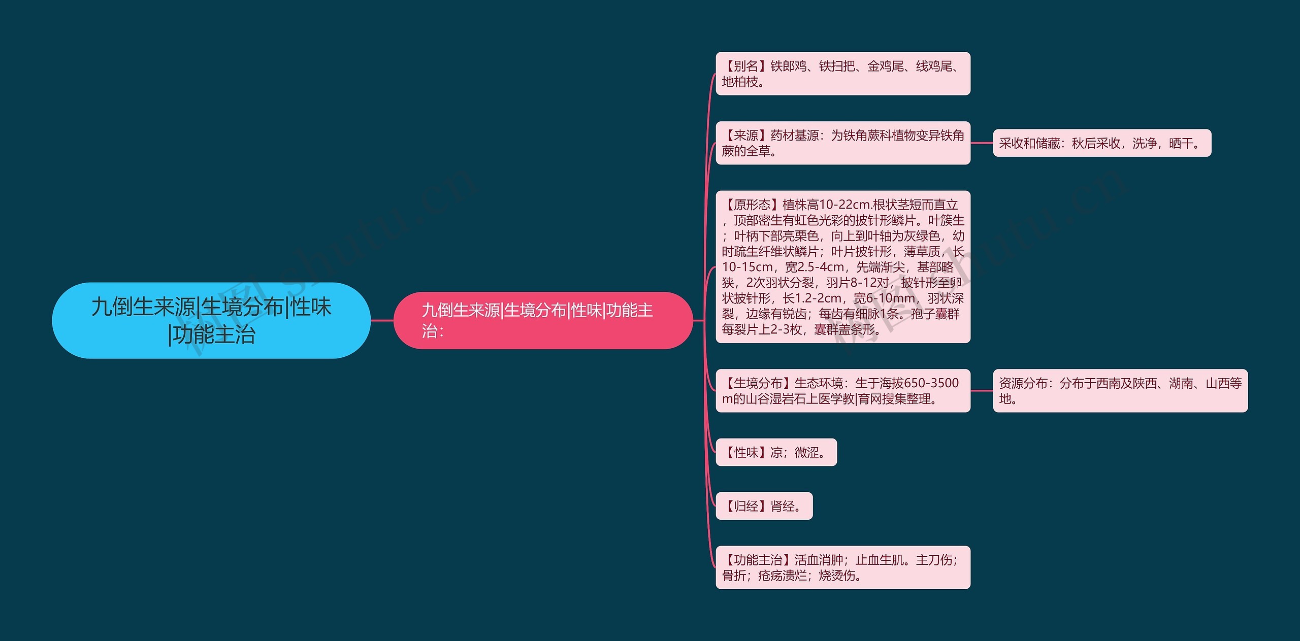 九倒生来源|生境分布|性味|功能主治 九倒生来源|生境分布|性味|功能主治