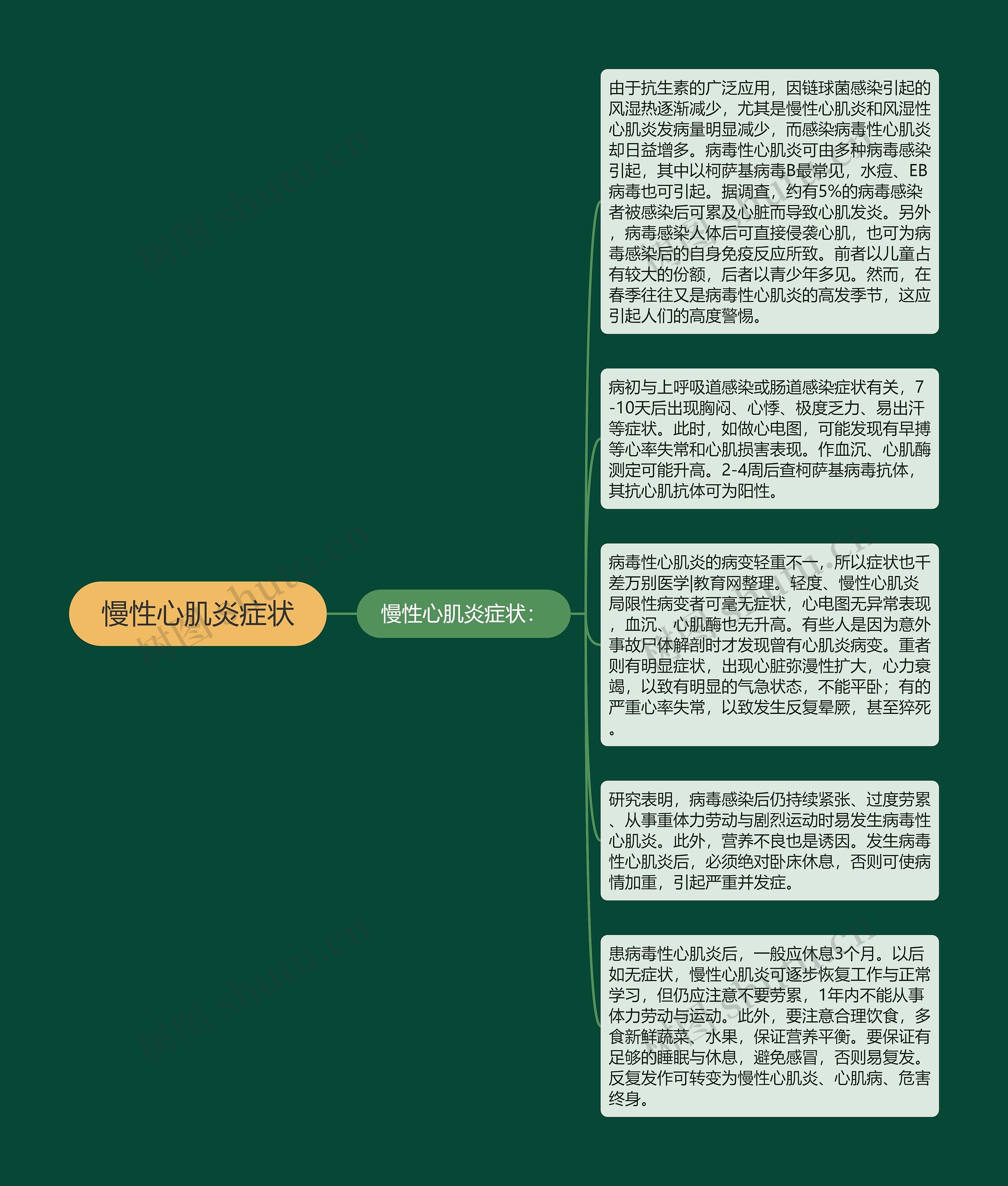 慢性心肌炎症状思维导图