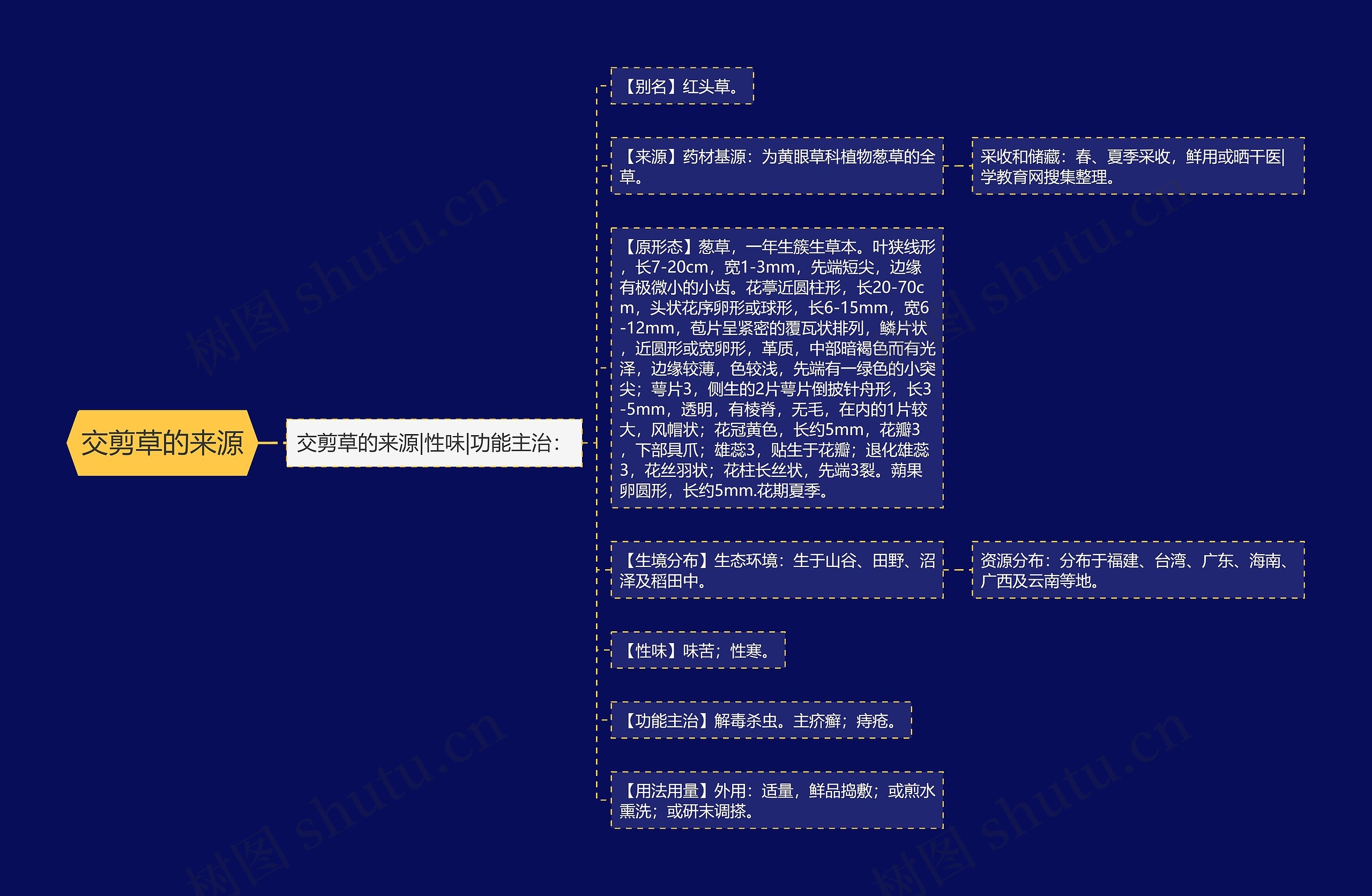 交剪草的来源思维导图